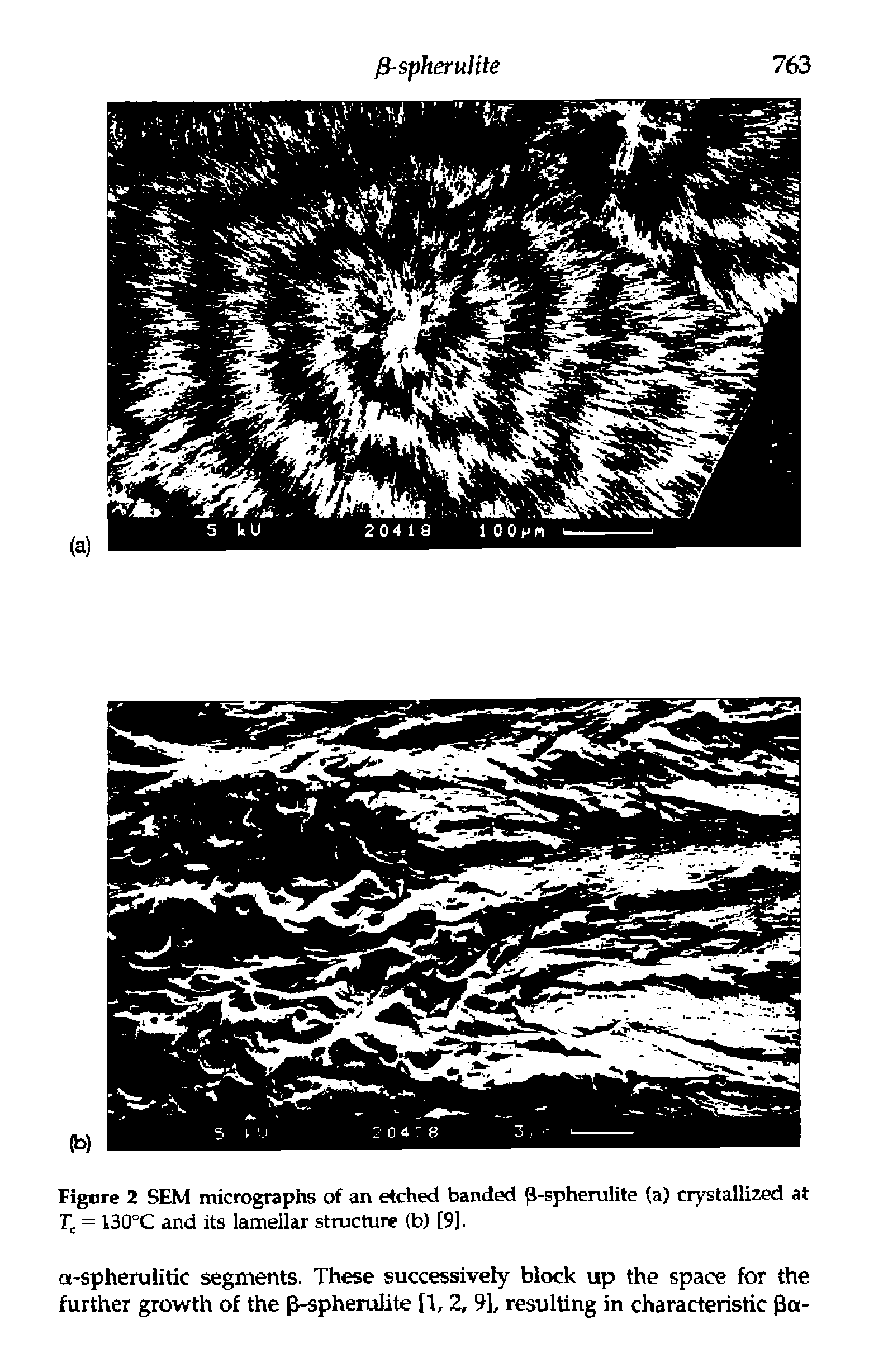 Figure 2 SEM micrographs of an etched banded -spherulite (a) crystallized at Tj = 130°C and its lamellar structure (b) [9).