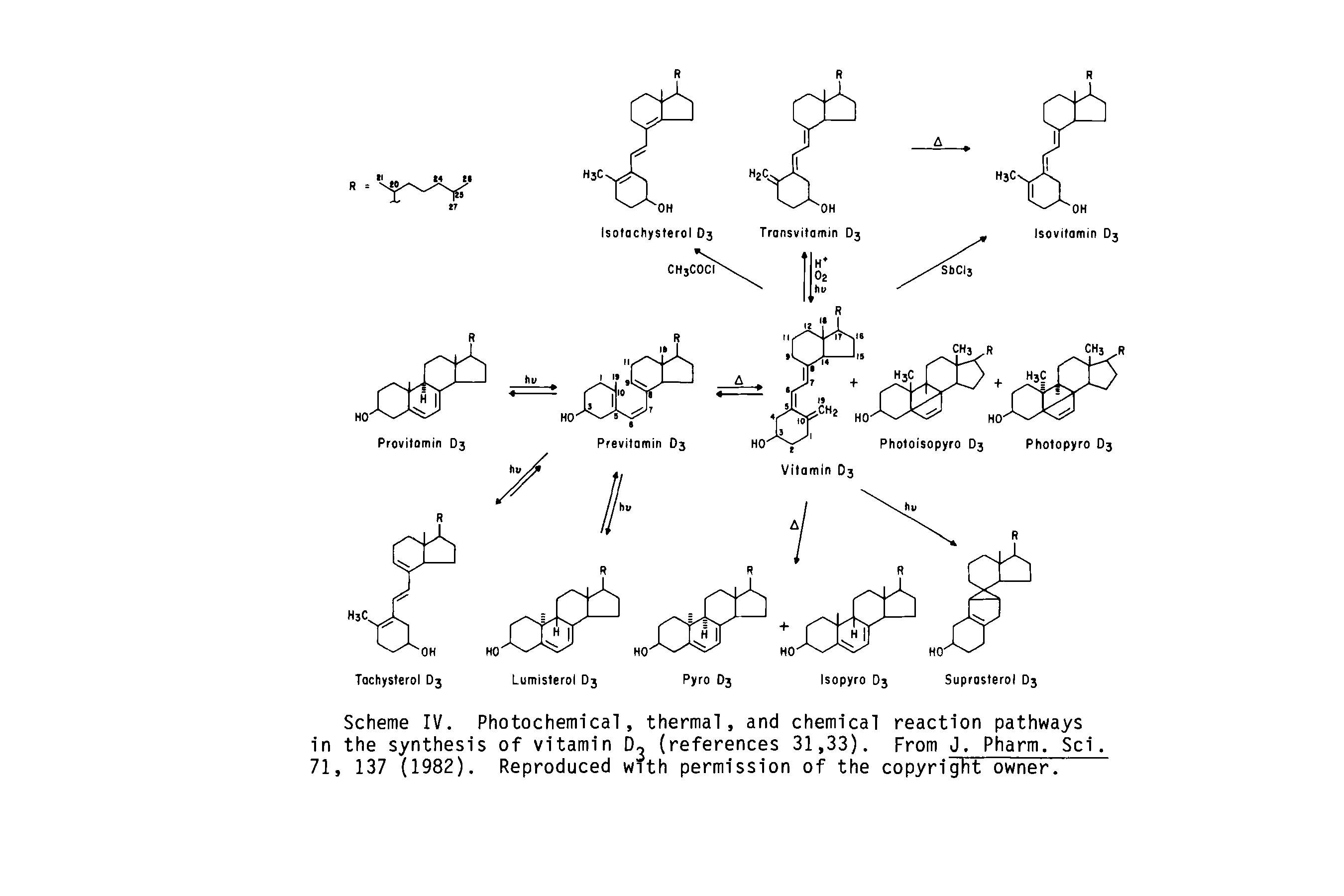 Scheme IV. Photochemical, thermal, and chemical reaction pathways in the synthesis of vitamin D, (references 31,33). From J. Pharm. Sci. 71, 137 (1982). Reproduced with permission of the copyright owner.