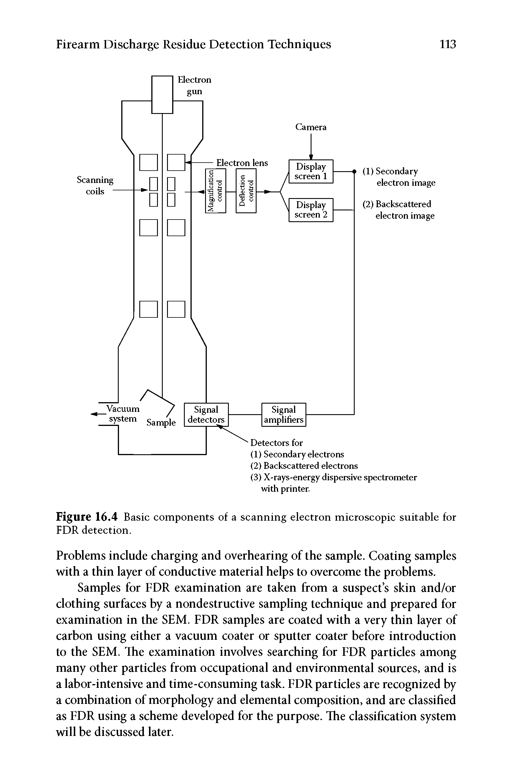 Figure 16.4 Basic components of a scanning electron microscopic suitable for FDR detection.