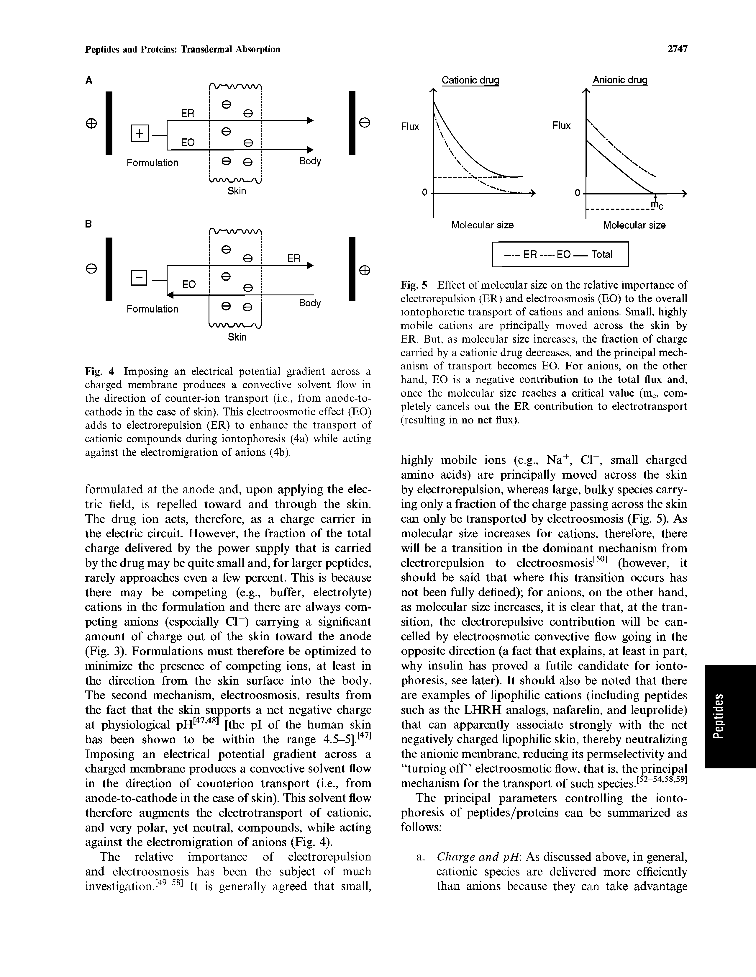 Fig. 4 Imposing an electrical potential gradient across a charged membrane produces a convective solvent flow in the direction of counter-ion transport (i.e., from anode-to-cathode in the case of skin). This electroosmotic effect (EO) adds to electrorepulsion (ER) to enhance the transport of cationic compounds during iontophoresis (4a) while acting against the electromigration of anions (4b).