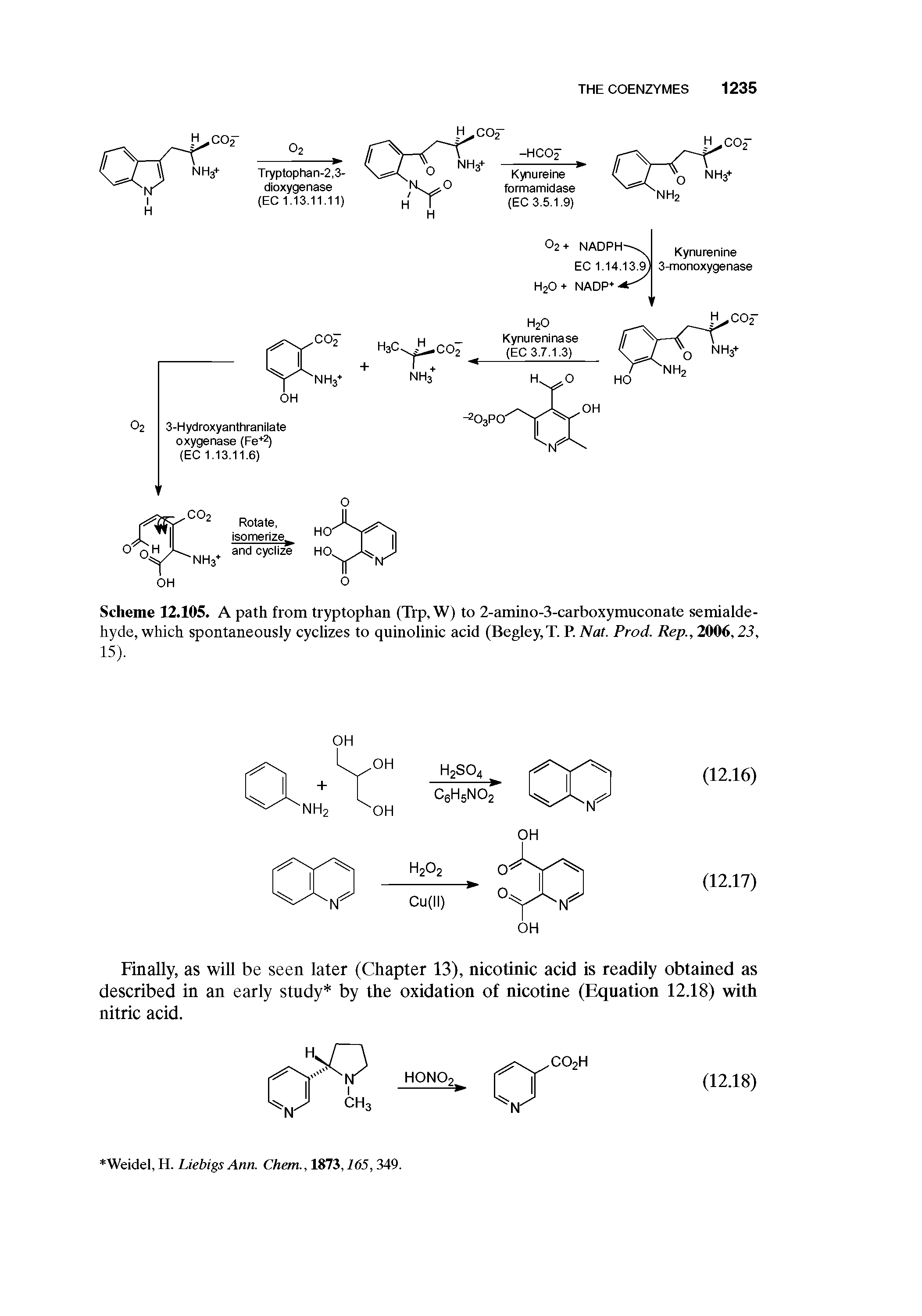 Scheme 12.105. A path from tryptophan (Trp, W) to 2-amino-3-carboxymuconate semialdehyde, which spontaneously cyclizes to quinolinic acid (Begley,T. P. Nat. Prod. Rep., 2006,23,...