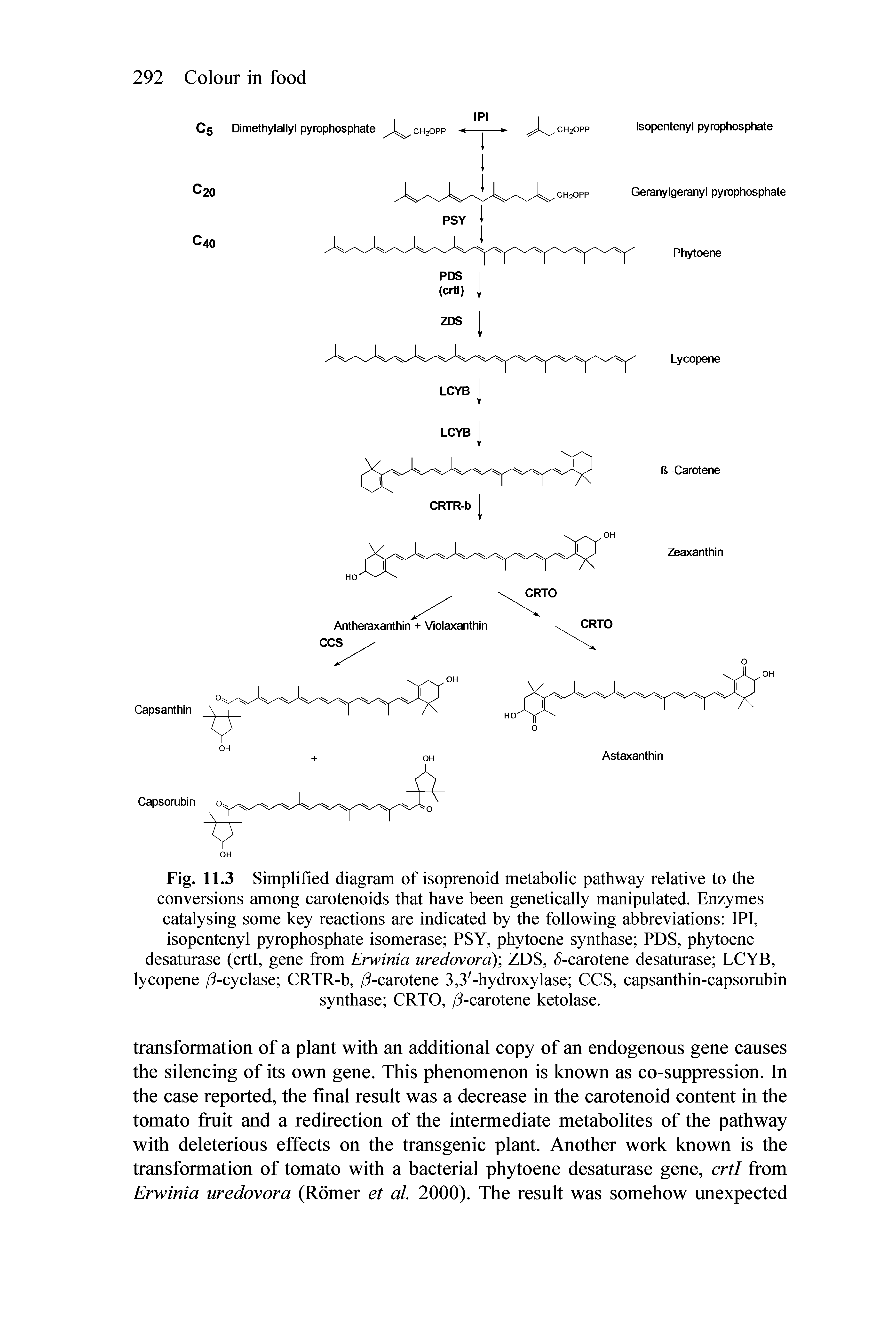 Fig. 11.3 Simplified diagram of isoprenoid metabolic pathway relative to the conversions among carotenoids that have been genetically manipulated. Enzymes catalysing some key reactions are indicated by the following abbreviations IPI, isopentenyl pyrophosphate isomerase PSY, phytoene synthase PDS, phytoene desaturase (crti, gene from Erwinia uredovora) ZDS, -carotene desaturase LCYB, lycopene / -cyclase CRTR-b, /3-carotene 3,3 -hydroxylase CCS, capsanthin-capsombin synthase CRTO, /3-carotene ketolase.