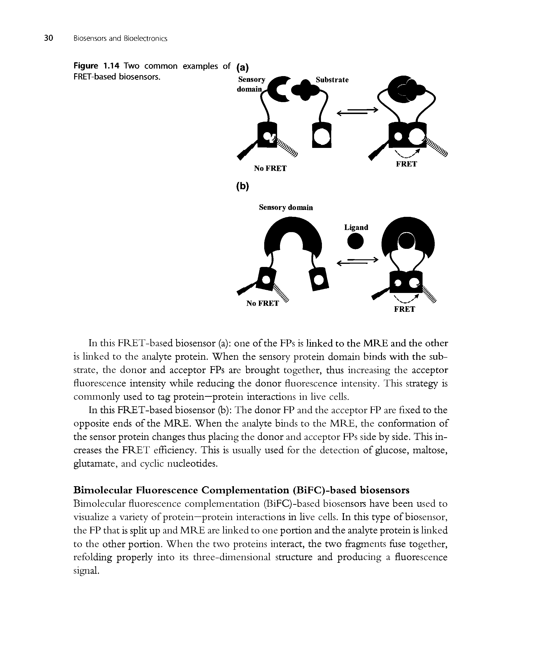 Figure 1.14 Two common examples of (a) FRET-based biosensors. Sensory...