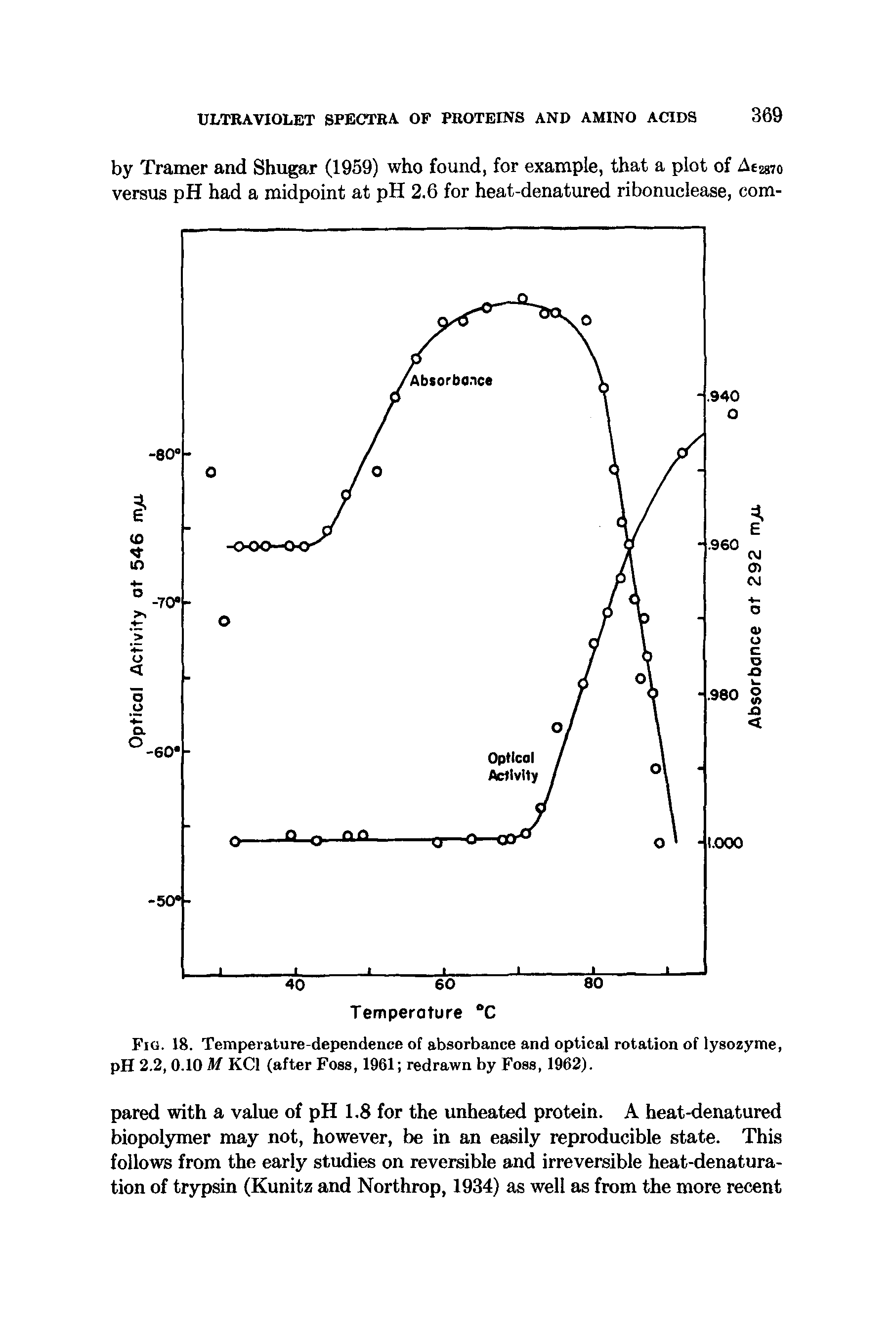 Fig. 18. Temperature-dependence of absorbance and optical rotation of lysozyme, pH 2.2, 0.10 M KCl (after Foss, 1961 redrawn by Foss, 1962).