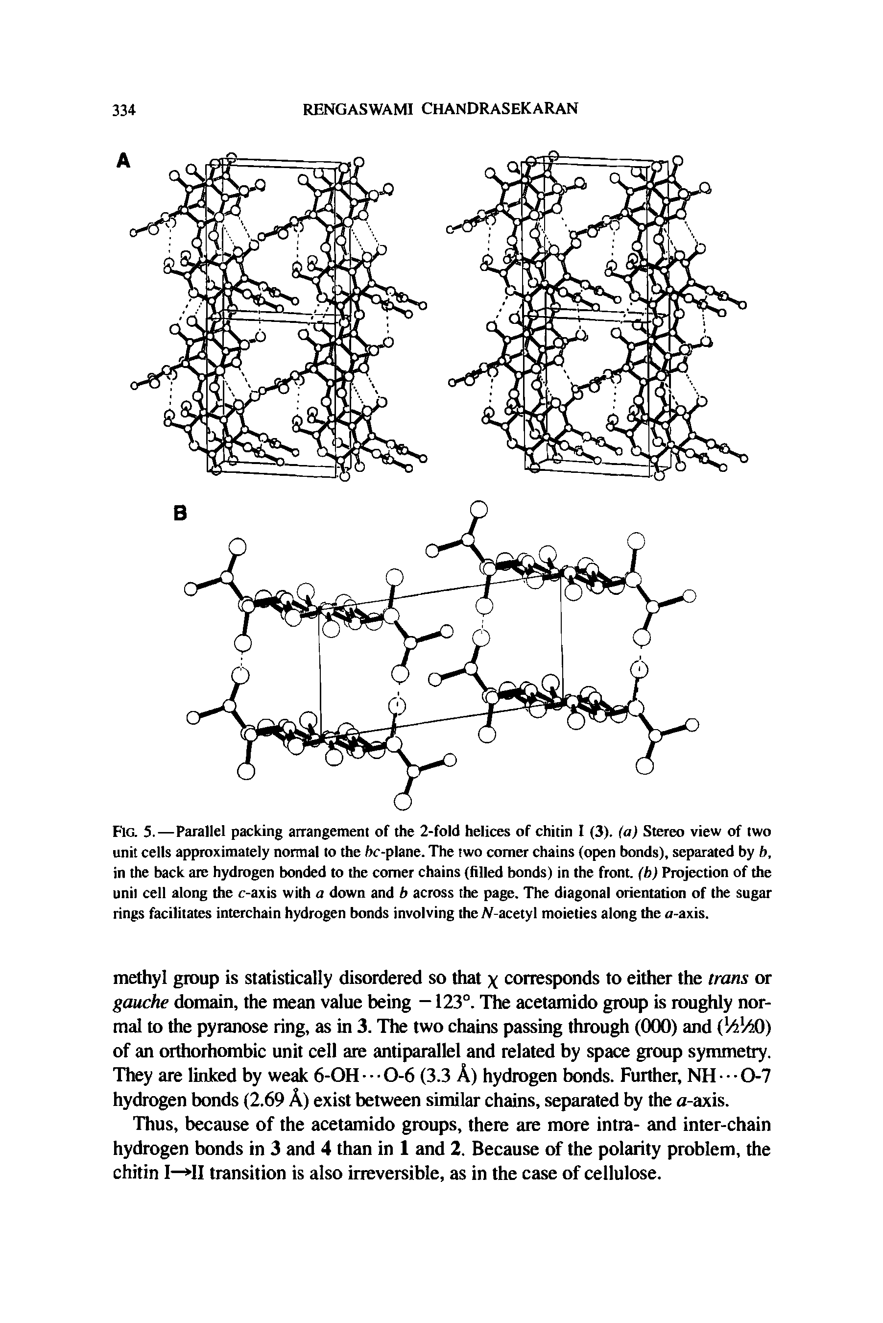 Fig. 5.—Parallel packing arrangement of the 2-fold helices of chitin I (3). (a) Stereo view of two unit cells approximately normal to the hc-plane. The two comer chains (open bonds), separated by b, in the back are hydrogen bonded to the comer chains (tilled bonds) in the front, (b) Projection of the unit cell along the c-axis with a down and b across the page. The diagonal orientation of the sugar rings facilitates interchain hydrogen bonds involving the JV-acetyl moieties along the a-axis.