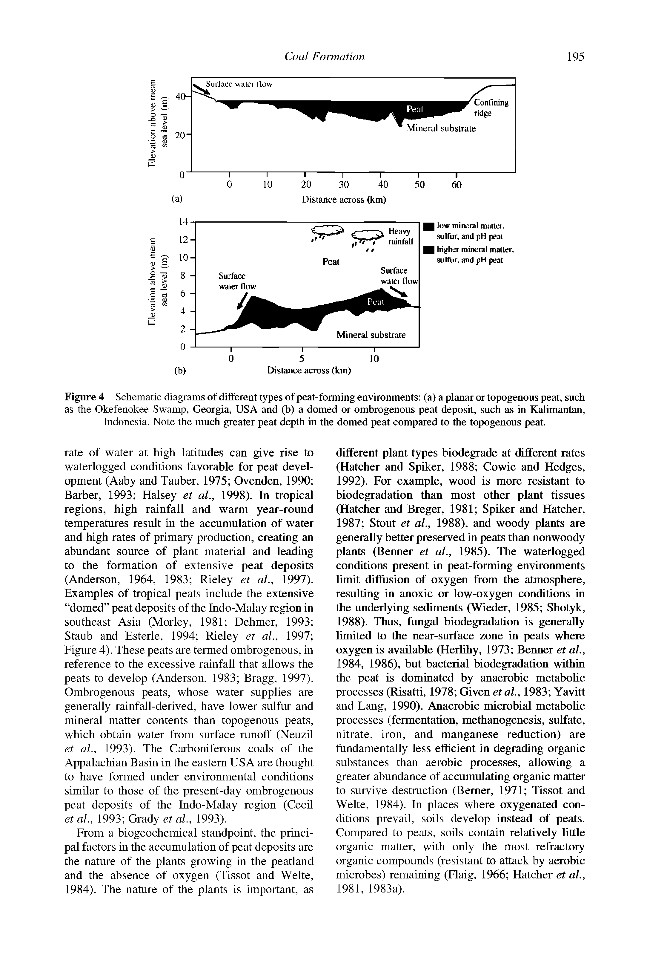 Figure 4 Schematic diagrams of different types of peat-forming environments (a) a planar ortopogenous peat, such as the Okefenokee Swamp, Georgia, USA and (b) a domed or ombrogenous peat deposit, sucb as in Kalimantan, Indonesia. Note the much greater peat depth in the domed peat compared to the topogenous peat.