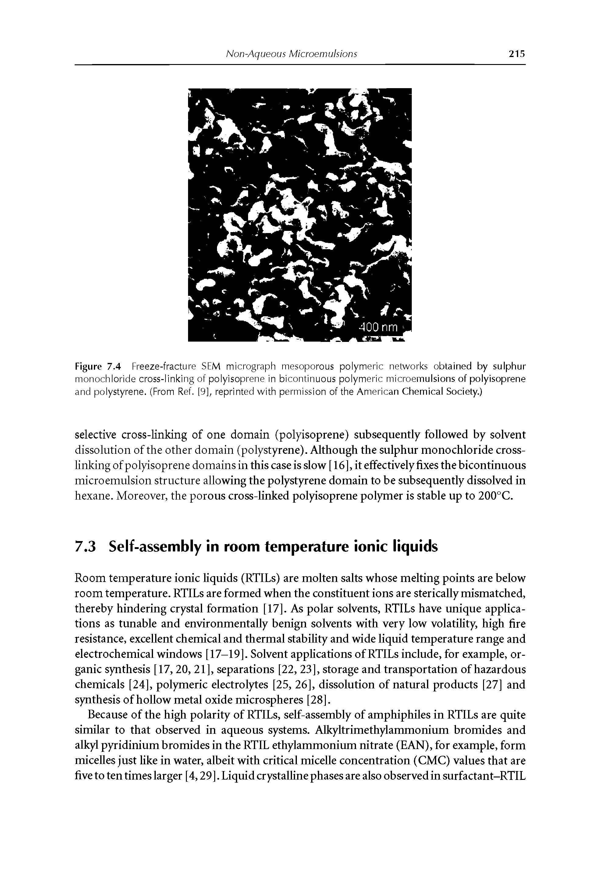 Figure 7.4 Freeze-fracture SEM micrograph mesoporous polymeric networks obtained by sulphur monochloride cross-linking of polyisoprene in bicontinuous polymeric microemulsions of polyisoprene and polystyrene. (From Ref. [9], reprinted with permission of the American Chemical Society.)...