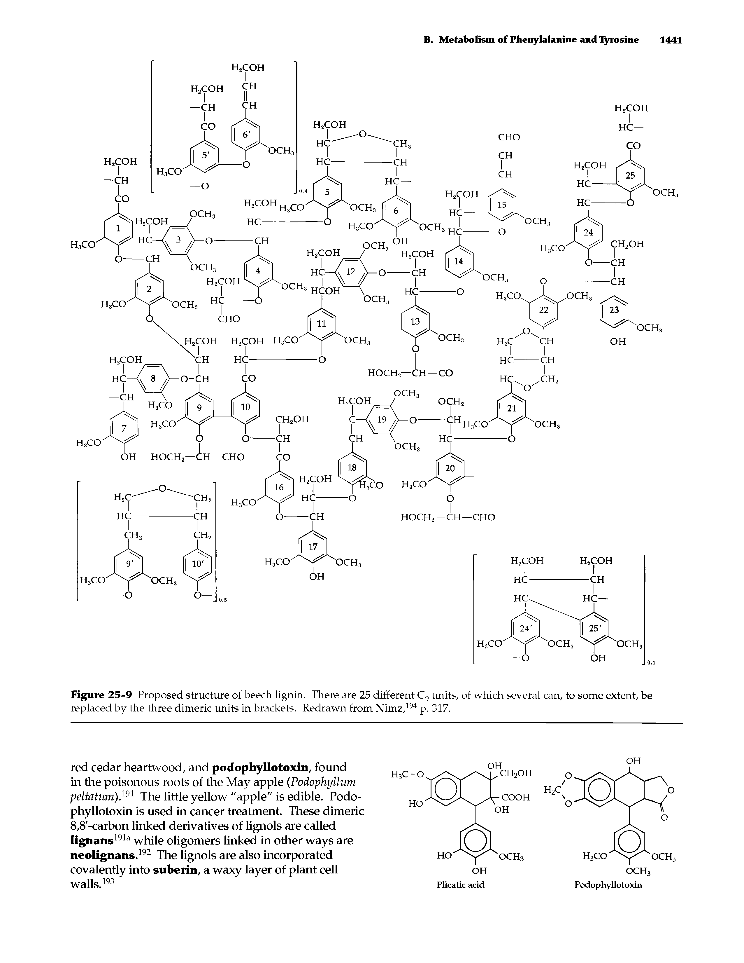 Figure 25-9 Proposed structure of beech lignin. There are 25 different C9 units, of which several can, to some extent, be replaced by the three dimeric units in brackets. Redrawn from Nimz,194 p. 317.
