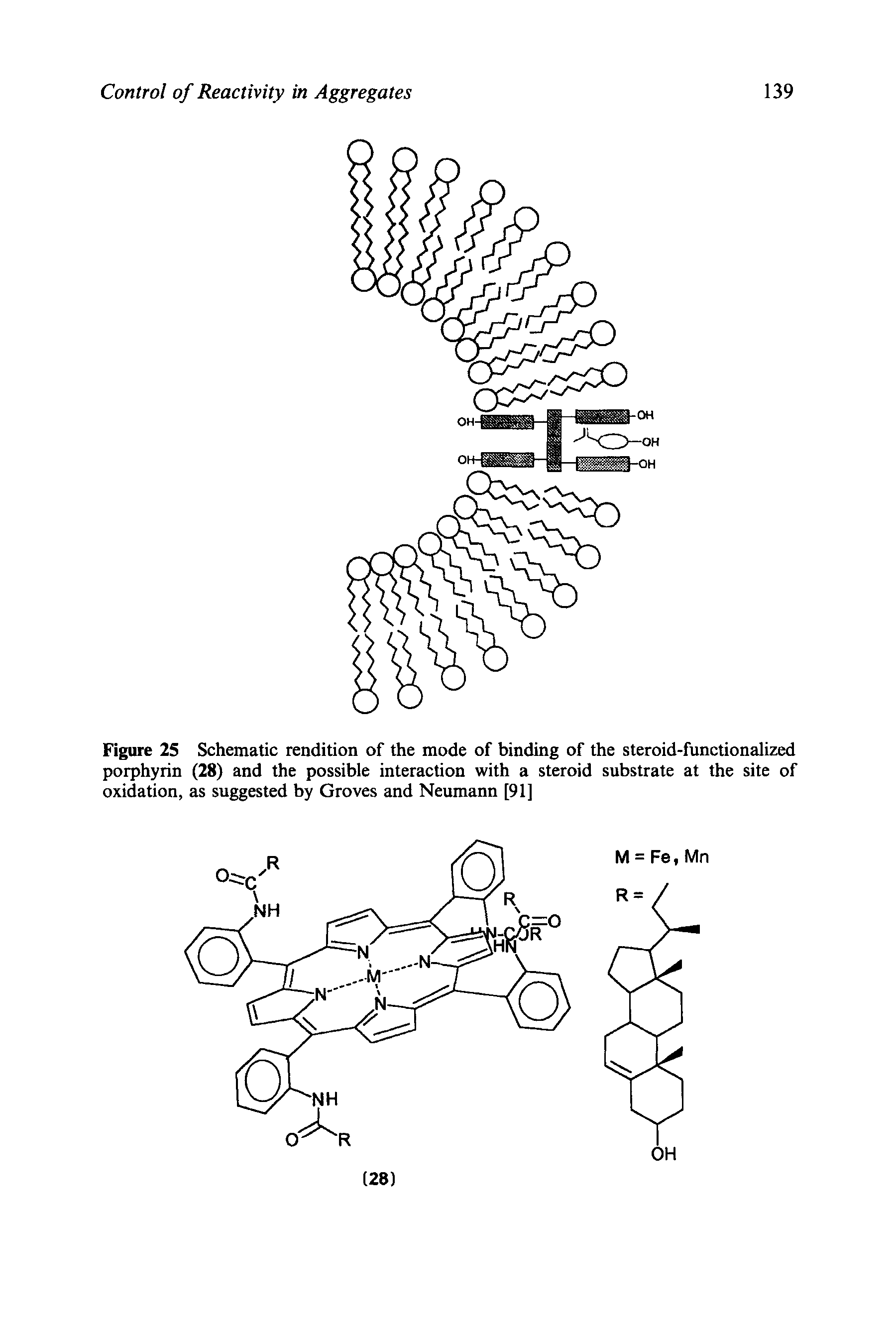 Figure 25 Schematic rendition of the mode of binding of the steroid-functionalized porphyrin (28) and the possible interaction with a steroid substrate at the site of oxidation, as suggested by Groves and Neumann [91]...