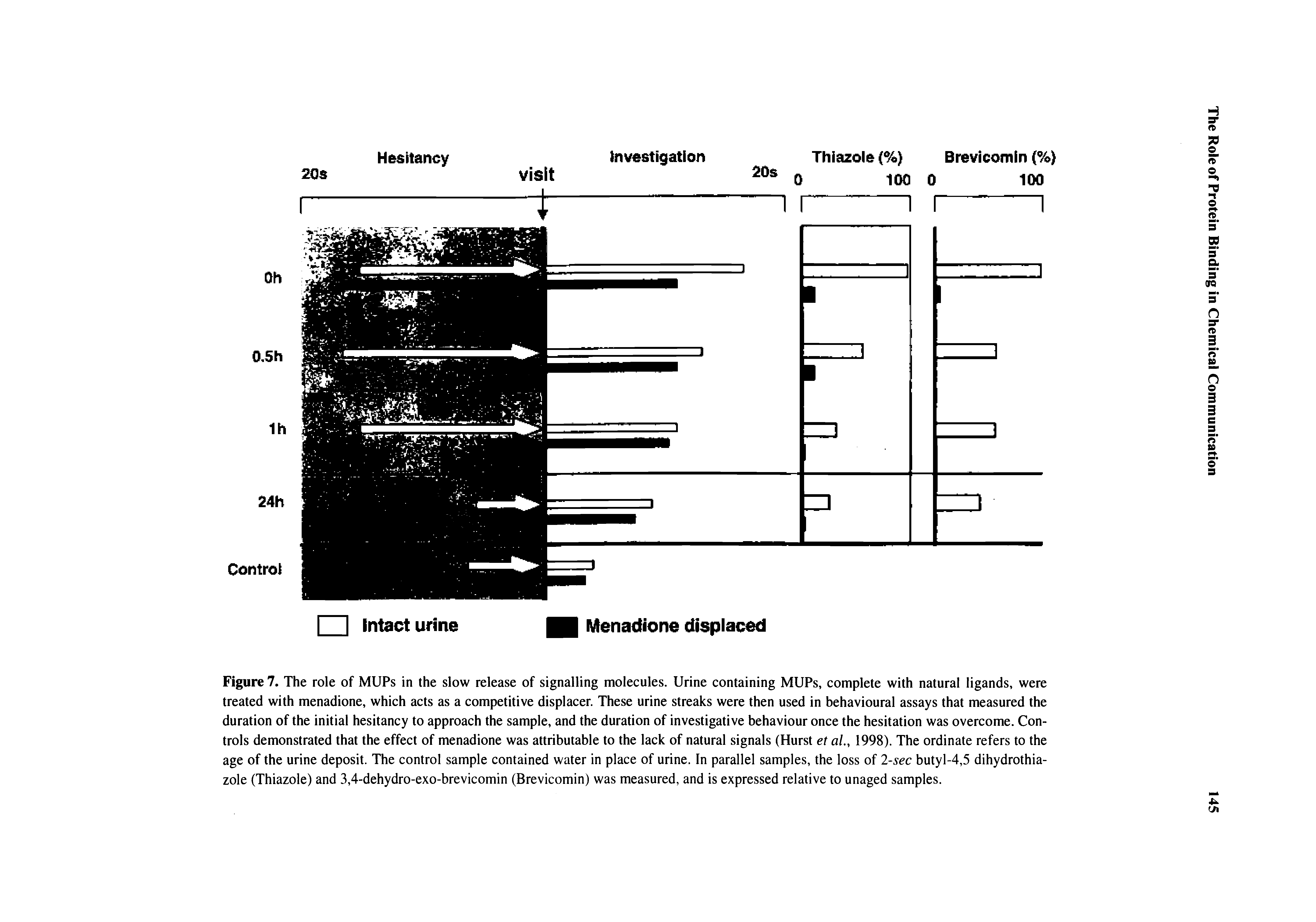 Figure 7. The role of MUPs in the slow release of signalling molecules. Urine containing MUPs, complete with natural ligands, were treated with menadione, which acts as a competitive displacer. These urine streaks were then used in behavioural assays that measured the duration of the initial hesitancy to approach the sample, and the duration of investigative behaviour once the hesitation was overcome. Controls demonstrated that the effect of menadione was attributable to the lack of natural signals (Hurst et al., 1998). The ordinate refers to the age of the urine deposit. The control sample contained water in place of urine. In parallel samples, the loss of 2-sec butyl-4,5 dihydrothia-zole (Thiazole) and 3,4-dehydro-exo-brevicomin (Brevicomin) was measured, and is expressed relative to unaged samples.