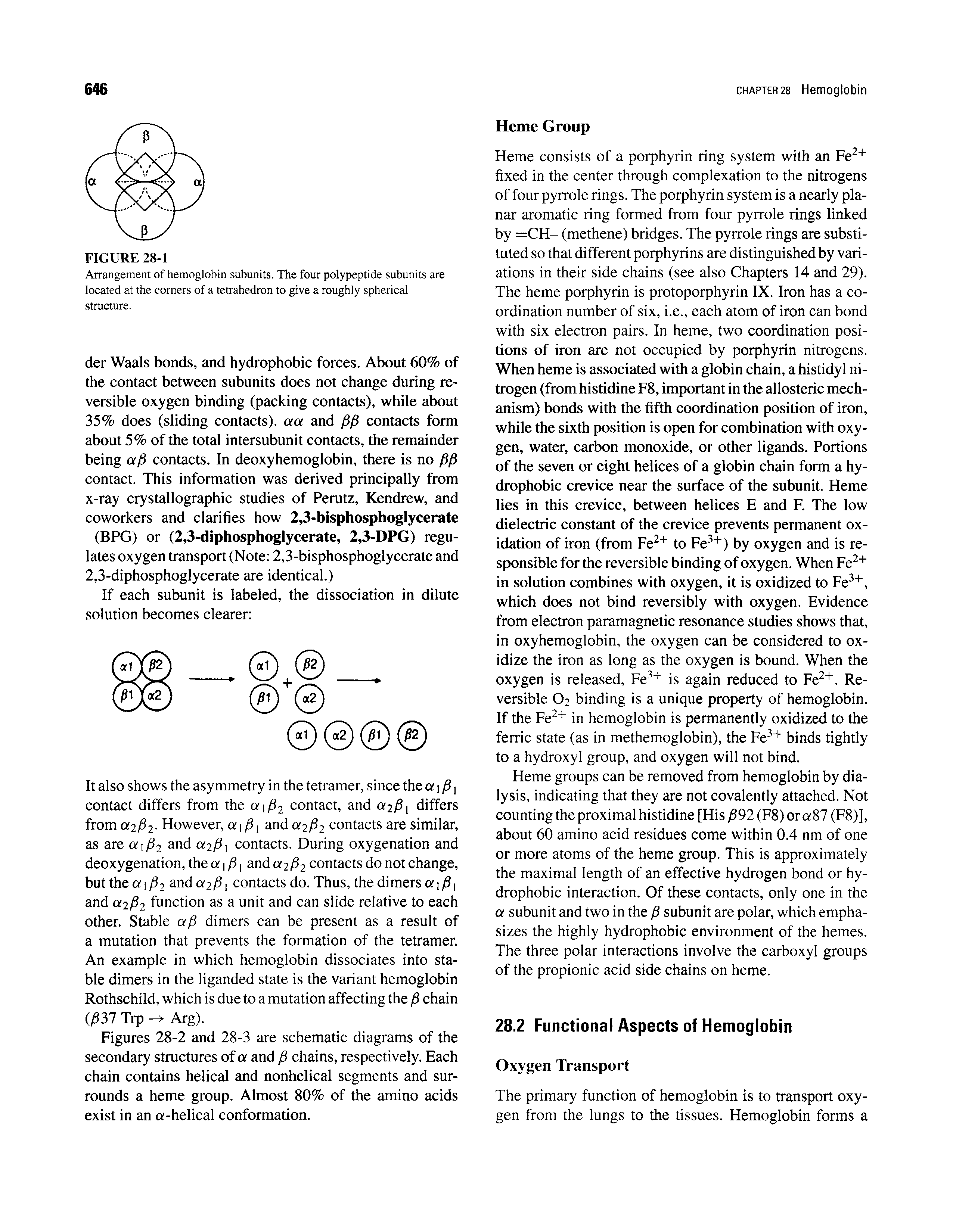 Figures 28-2 and 28-3 are schematic diagrams of the secondary structures of a and p chains, respectively. Each chain contains helical and nonhelical segments and surrounds a heme group. Almost 80% of the amino acids exist in an a-helical conformation.