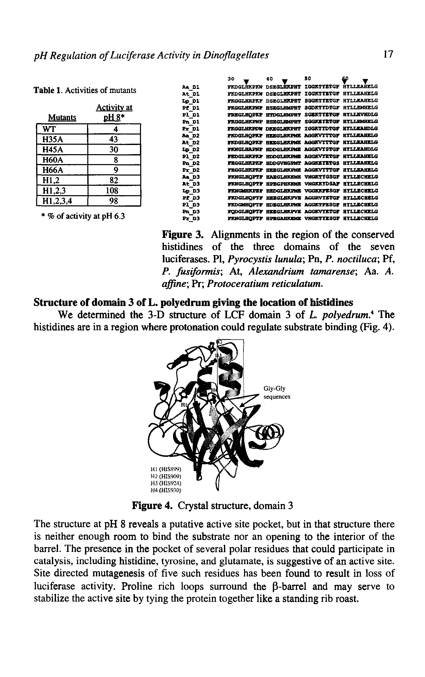 Figure 3. Alignments in the region of the conserved histidines of the three domains of the seven luciferases. PI, Pyrocystis lunula Pn, P. noctiluca Pf, P. fusiformis At, Alexandrium tamarense Aa. A. affine Pr Protoceratium reticulatum.