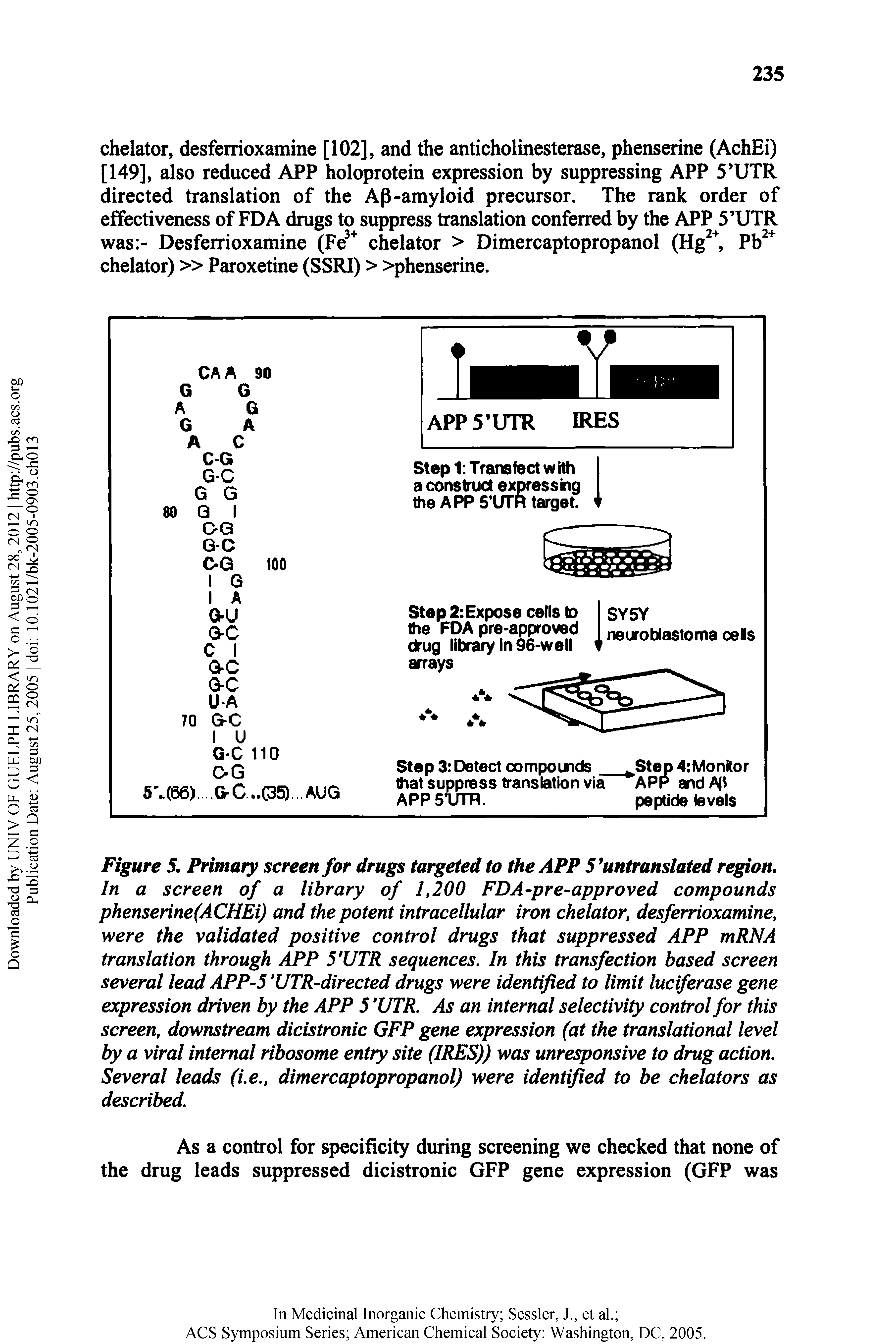 Figure 5, Primary screen far drugs targeted to the APP S untranslated region. In a screen of a library of 1,200 FDA-pre-approved compounds phenserine(ACHEi) and the potent intracellular iron chelator, desferrioxamine, were the validated positive control drugs that suppressed APP mRNA translation through APP 5 UTR sequences. In this transfection based screen several lead APP-5 UTR directed drugs were identified to limit luciferase gene expression driven by the APP 5 UTR. As an internal selectivity control for this screen, downstream dicistronic GFP gene expression (at the translational level by a viral internal ribosome entry site (IRES)) was unresponsive to drug action. Several leads (i,e, dimercaptopropanol) were identified to be chelators as described.