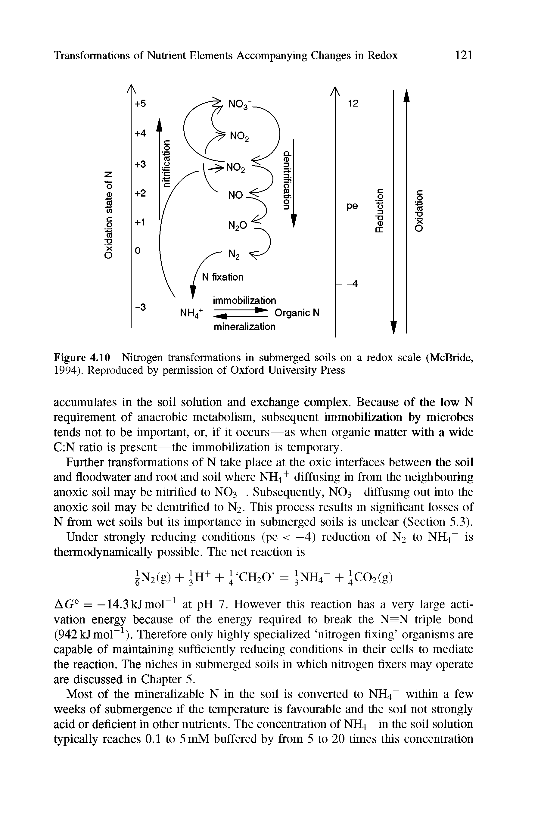 Figure 4.10 Nitrogen transformations in submerged soils on a redox scale (McBride, 1994). Reproduced by permission of Oxford University Press...