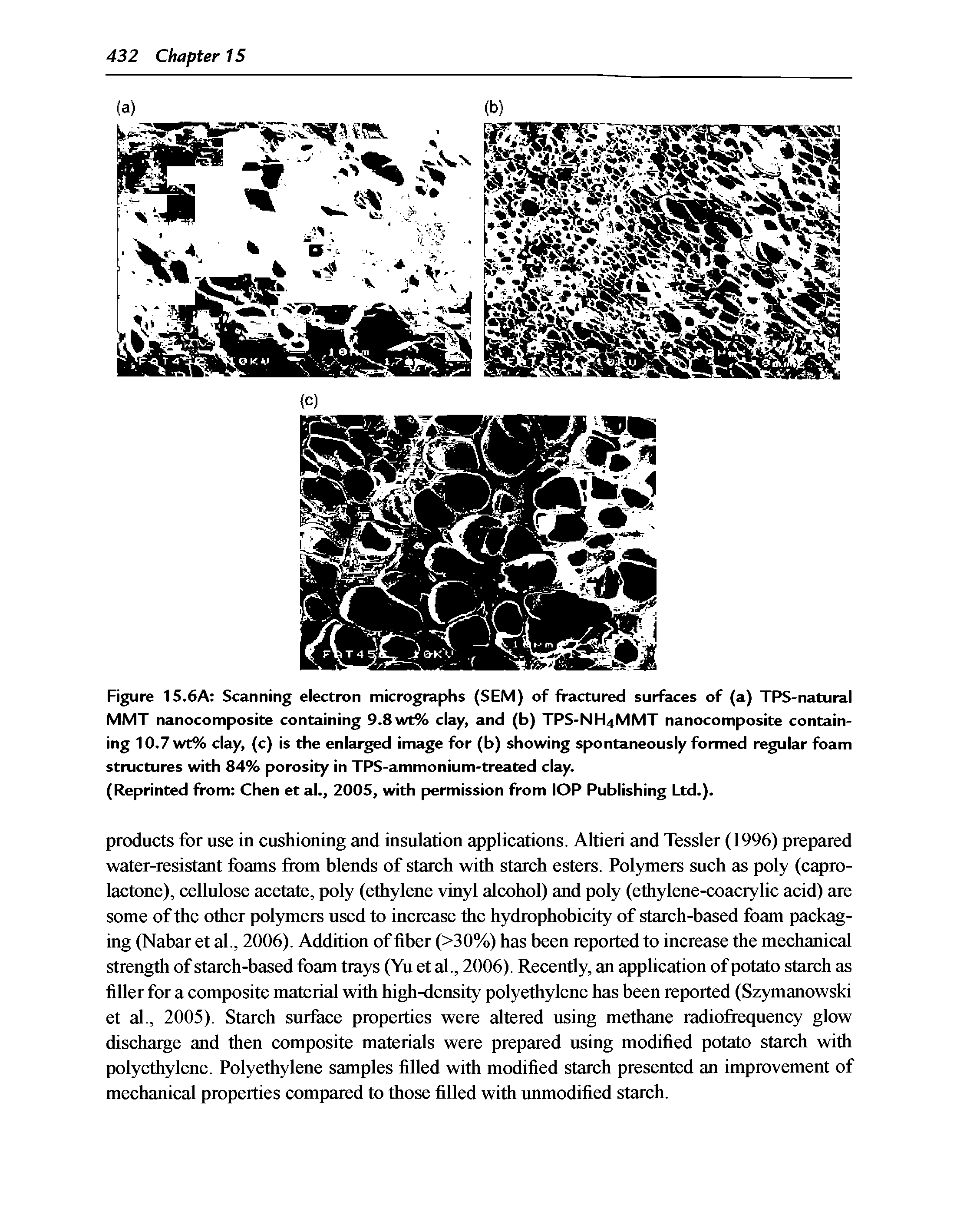 Figure 15.6A Scanning electron micrographs (SEM) of fractured surfaces of (a) TPS-natural MMT nanocomposite containing 9.8 wt% clay, and (b) TPS-NH4MMT nanocomposite containing 10.7 wt% clay, (c) is the enlarged image for (b) showing spontaneously formed regular foam structures with 84% porosity in TPS-ammonium-treated clay.