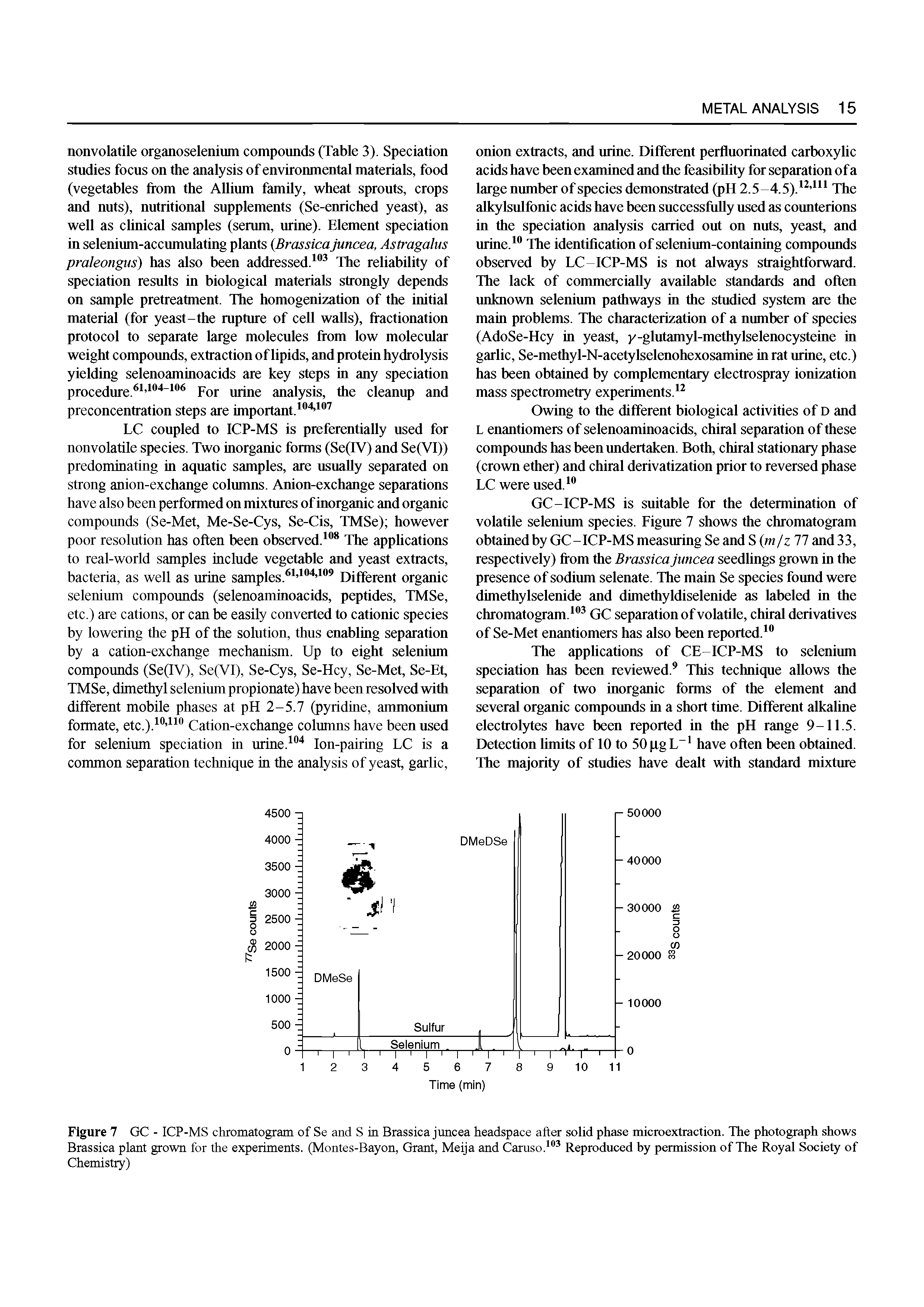 Figure 7 GC - ICP-MS chromatogram of Se and S in Brassica jrmcea headspace after solid phase microextraction. The photograph shows Brassica plant grown for the experiments. (Montes-Bayon, Grant, Meija and Caruso. Reproduced by permission of The Royal Society of Chemistry)...