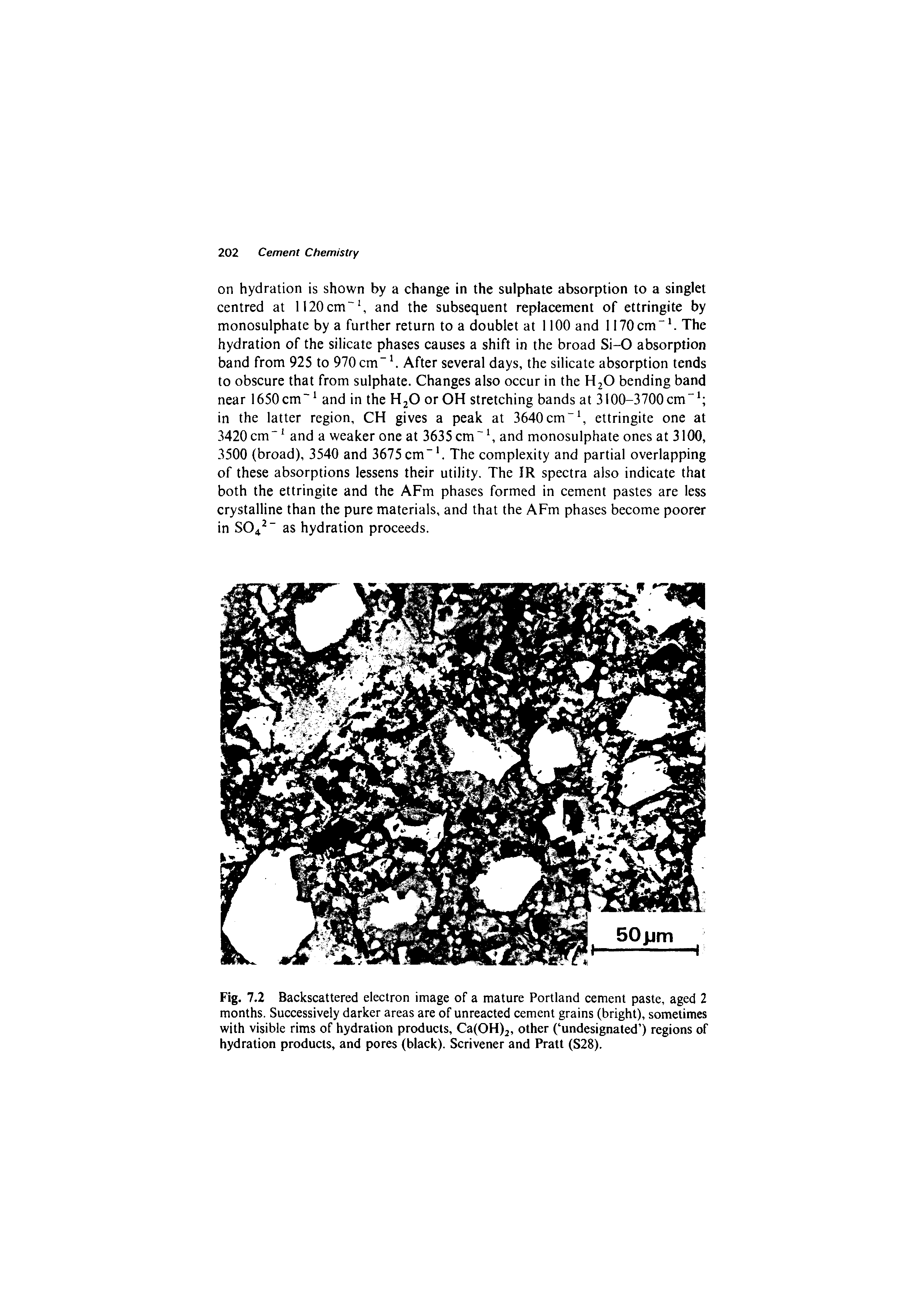 Fig. 7.2 Backscattered electron image of a mature Portland cement paste, aged 2 months. Successively darker areas are of unreacted cement grains (bright), sometimes with visible rims of hydration products, CafOH), other ( undesignated ) regions of hydration products, and pores (black). Scrivener and Pratt (S28).