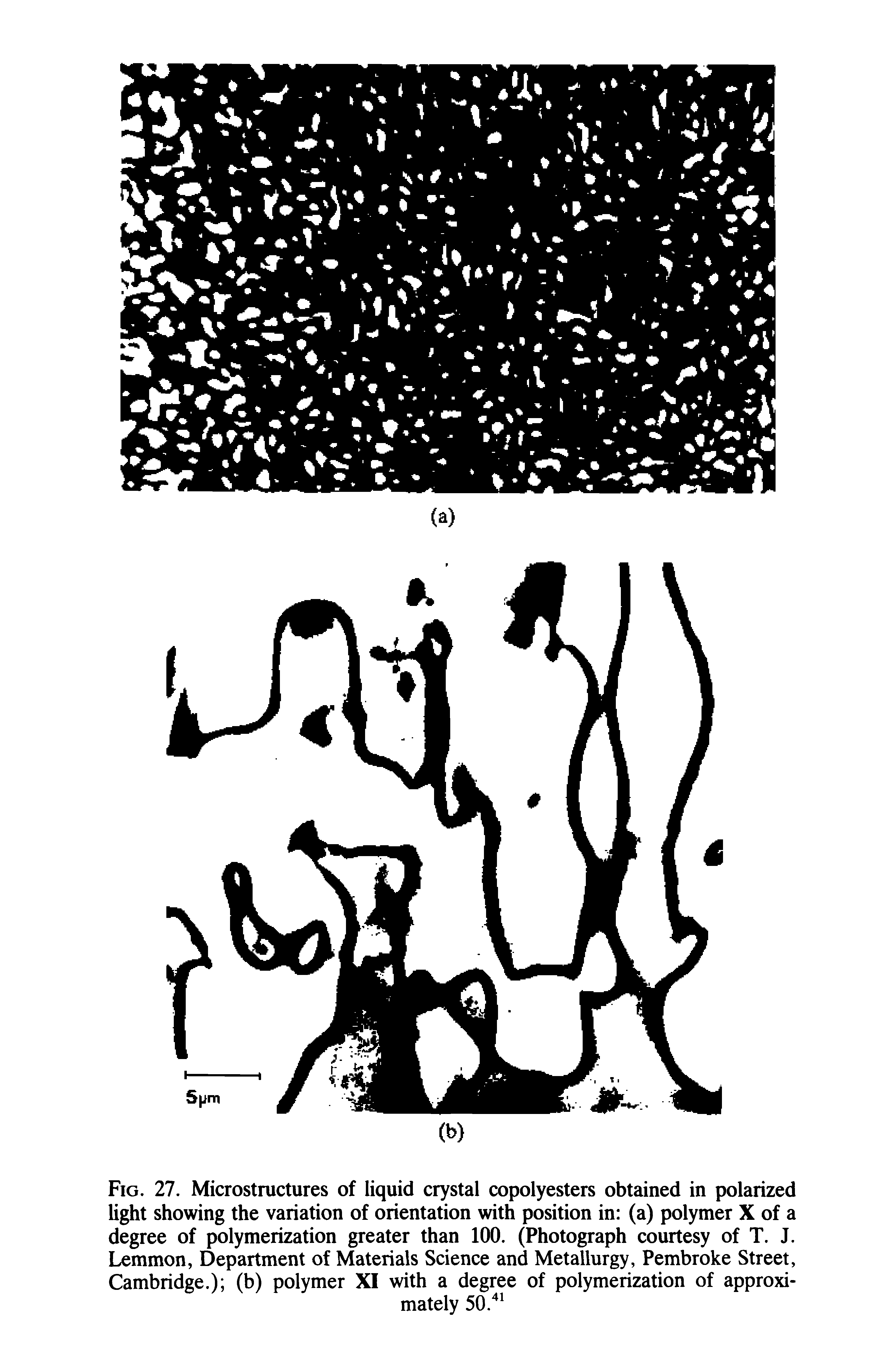 Fig. 27. Microstructures of liquid crystal copolyesters obtained in polarized light showing the variation of orientation with position in (a) polymer X of a degree of polymerization greater than 100. (Photograph courtesy of T. J. Lemmon, Department of Materials Science and Metallurgy, Pembroke Street, Cambridge.) (b) polymer XI with a degree of polymerization of approximately 50. ...