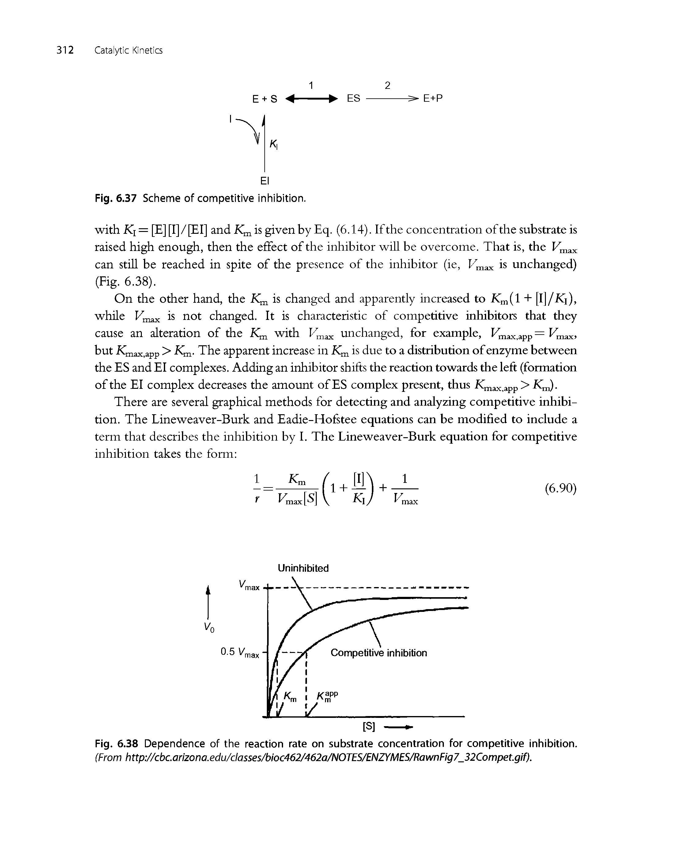 Dependence of Enzyme Reaction Rate on Substrate Concentration - Big ...