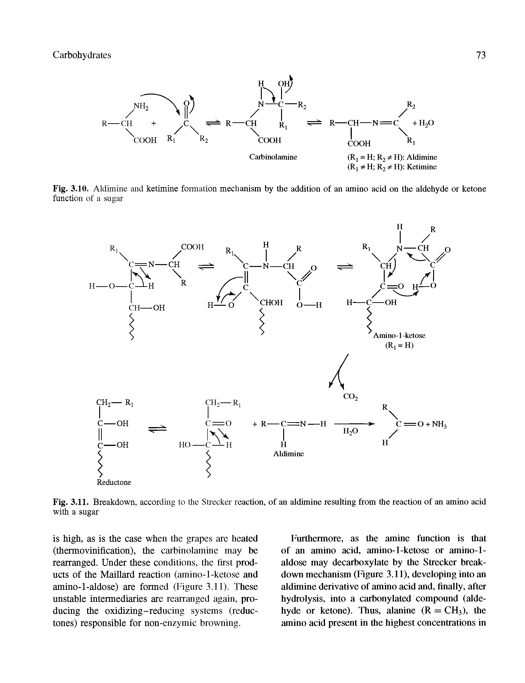 Fig. 3.10. Aldimine and ketimine formation mechanism by the addition of an amino acid on the aldehyde or ketone function of a sugar...