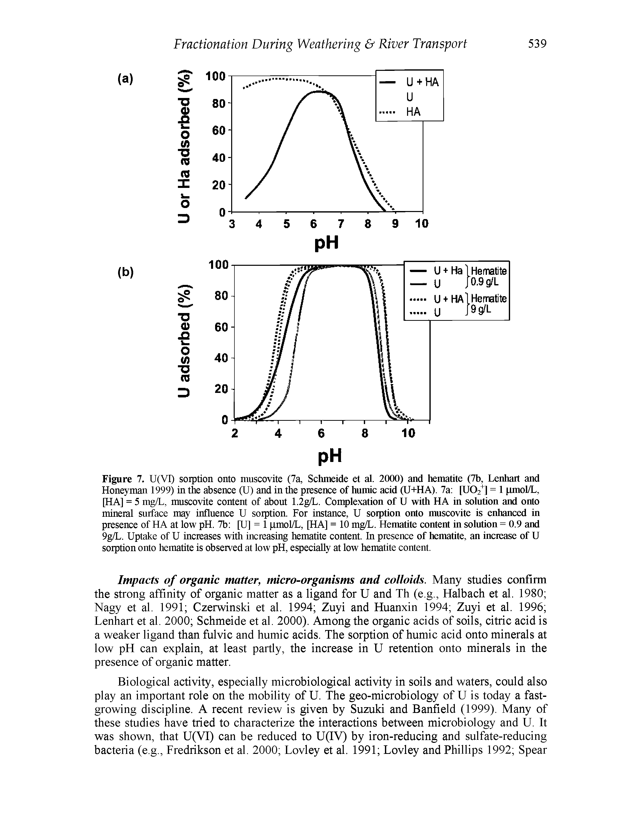 Figure 7. U(VI) sorption onto muscovite (7a, Schmeide et al. 2000) and hematite (7b, Lenhart and Honeyman 1999) in the absence (U) and in the presence of humic acid (U+HA). 7a [U02 ] = 1 pmol/L, [HA] = 5 mg/L, muscovite content of about 1.2g/L. Complexation of U with HA in solution and onto mineral surface may influence U sorption. For instance, U sorption onto muscovite is enhanced in presence of HA at low pH. 7b [U] = 1 jamol/L, [HA] = 10 mg/L. Hematite content in solution = 0.9 and 9g/L. Uptake of U increases with increasing hematite content. In presence of hematite, an increase of U sorption onto hematite is observed at low pH, especially at low hematite content.