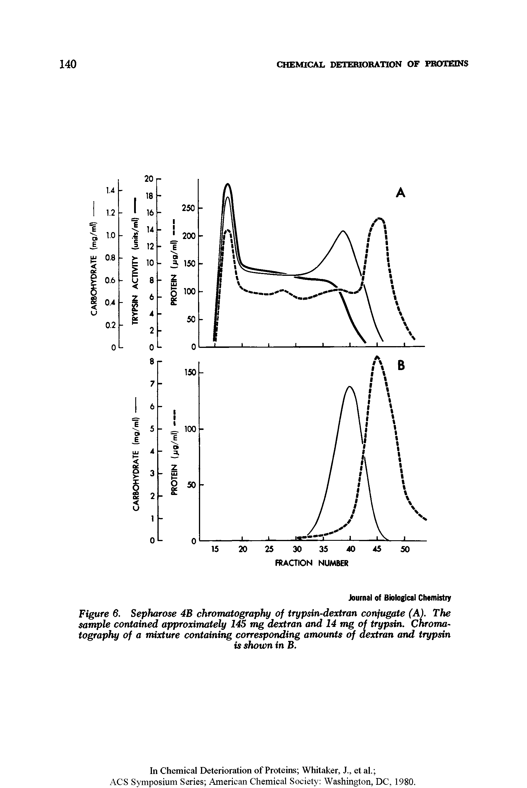 Figure 6. Sepharose 4B chromatography of trypsin-dextran conjugate (A). The sample contained approximately 145 mg dextran and 14 mg of trypsin. Chromatography of a mixture containing corresponding amounts of dextran and trypsin...