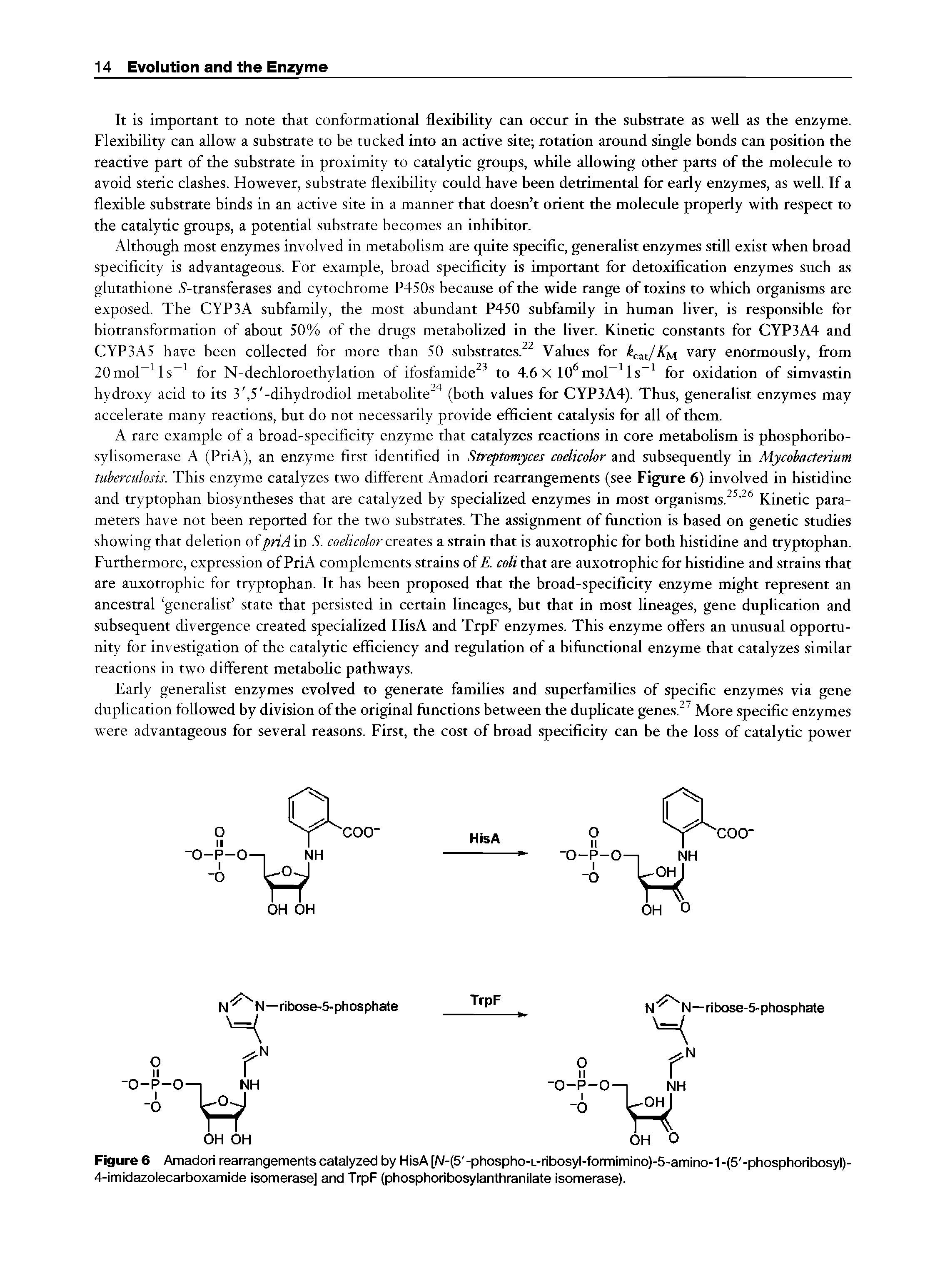Figure 6 Amadori rearrangements catalyzed by HisA [A/-(5 -phospho-L-ribosyl-formimino)-5-amino-1 -(5 -phosphoribosyl)-4-imidazolecarboxamide isomerase] and TrpF (phosphoribosylanthranilate isomerase).