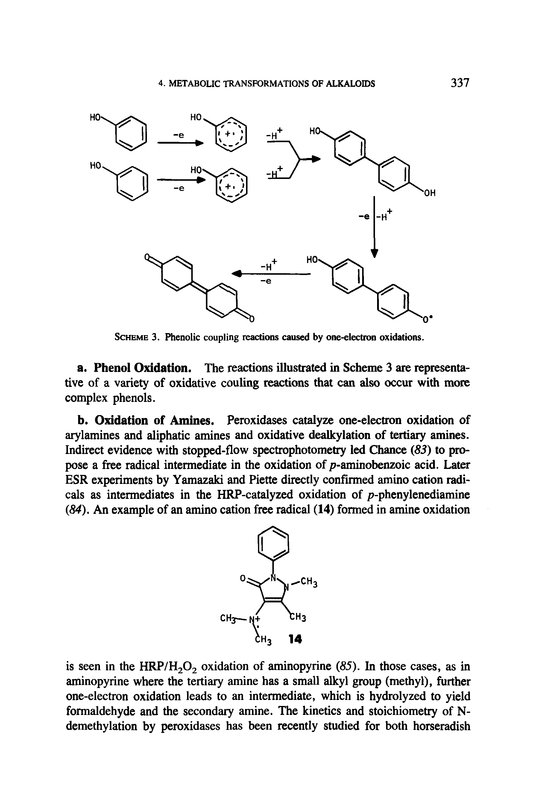 Scheme 3. Phenolic coupling reactions caused by one-electron oxidations.