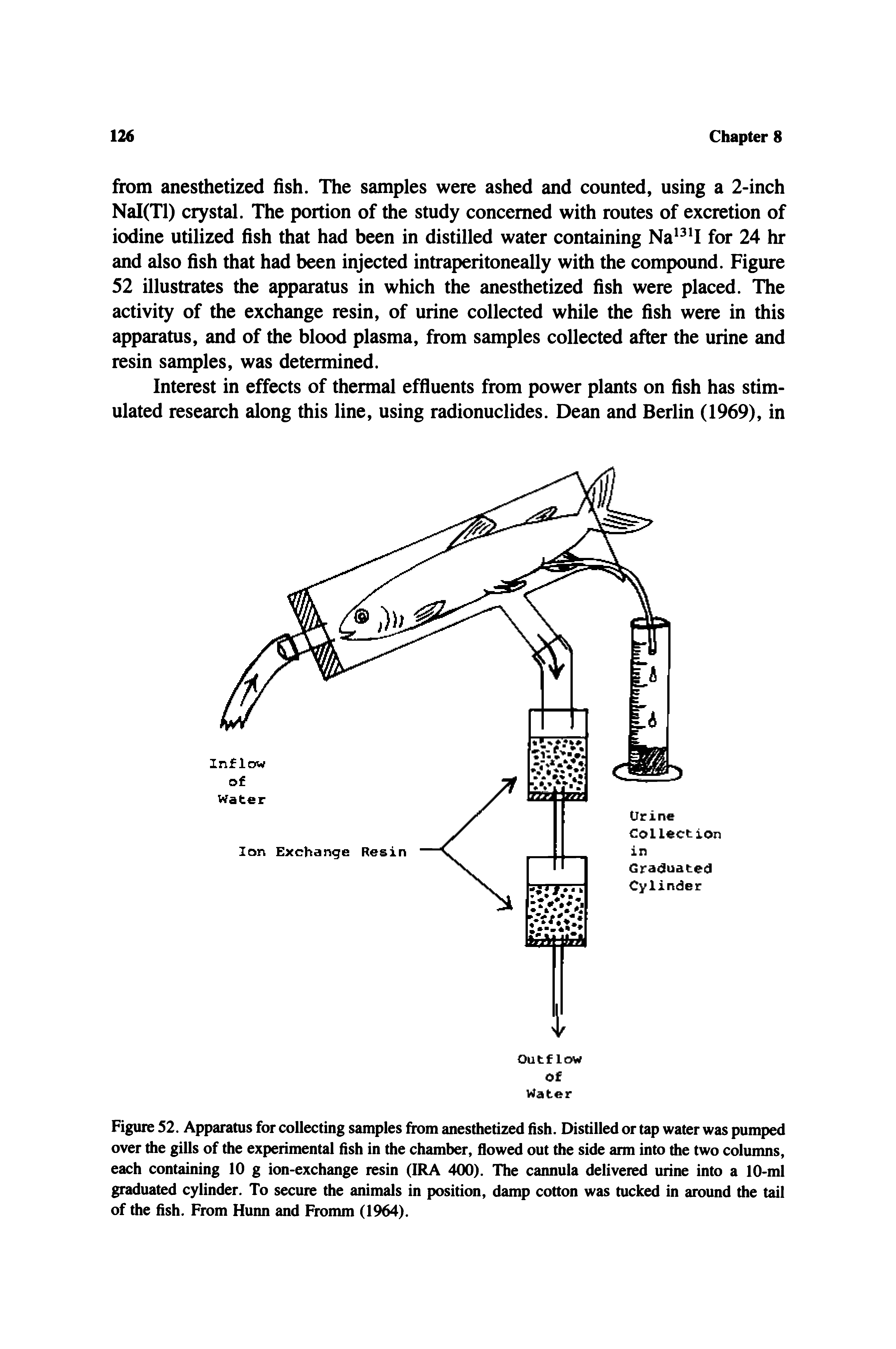 Figure 52. Apparatus for collecting samples from anesthetized fish. Distilled or tap water was pumped over the gills of the experimental fish in the chamber, flowed out the side arm into the two colunms, each containing 10 g ion-exchange resin (IRA 400). The cannula delivered urine into a 10-ml graduated cylinder. To secure the animals in position, damp cotton was tucked in around the tail of the fish. From Hunn and Fromm (1964).