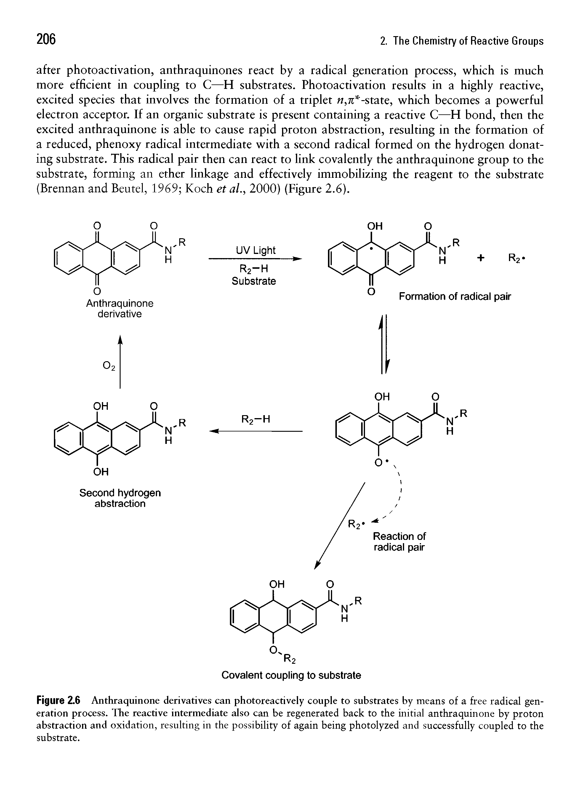 Figure 2.6 Anthraquinone derivatives can photoreactively couple to substrates by means of a free radical generation process. The reactive intermediate also can be regenerated back to the initial anthraquinone by proton abstraction and oxidation, resulting in the possibility of again being photolyzed and successfully coupled to the substrate.