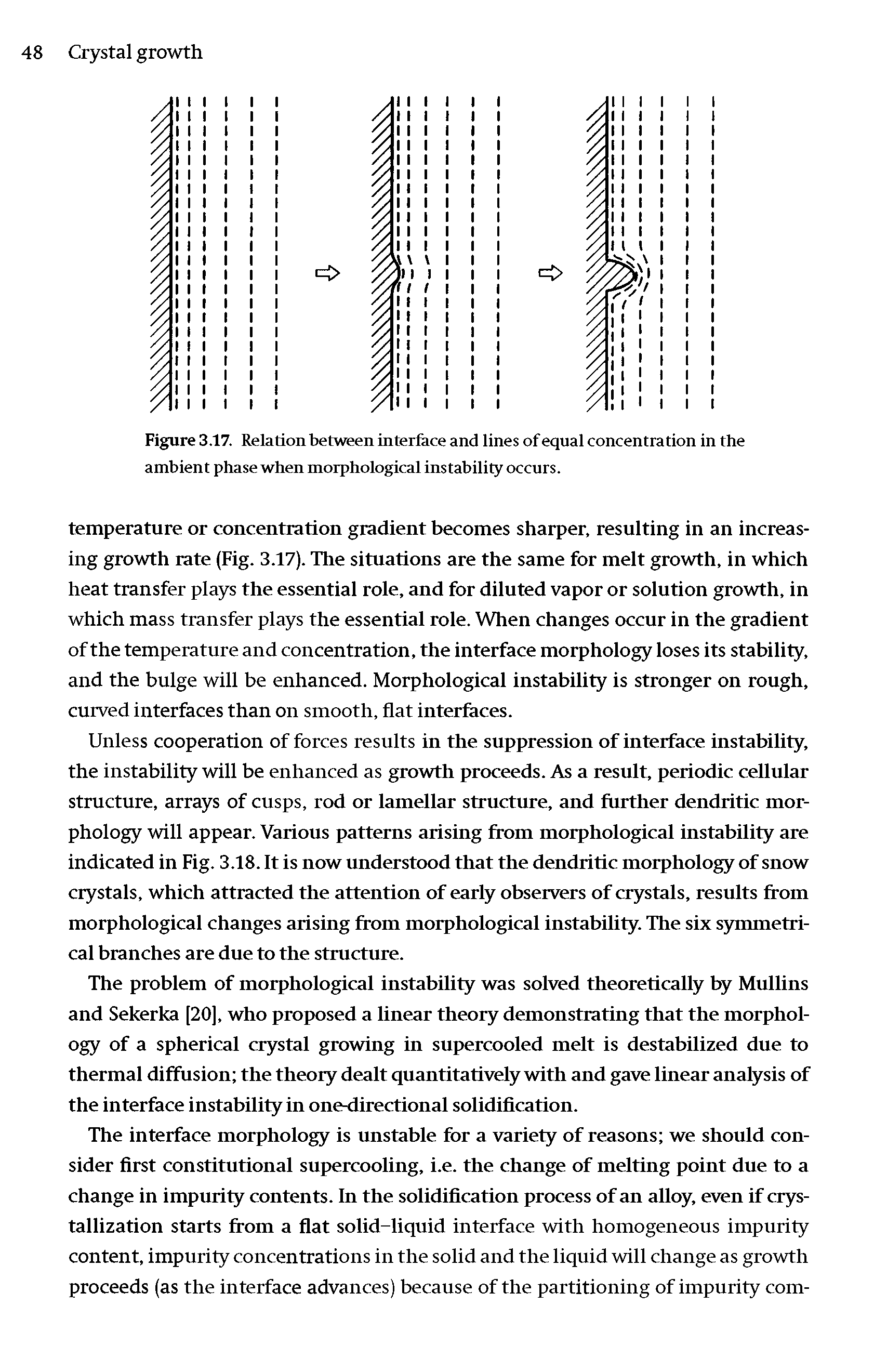 Figure 3.17. Relation between interface and lines of equal concentration in the ambient phase when morphological instability occurs.