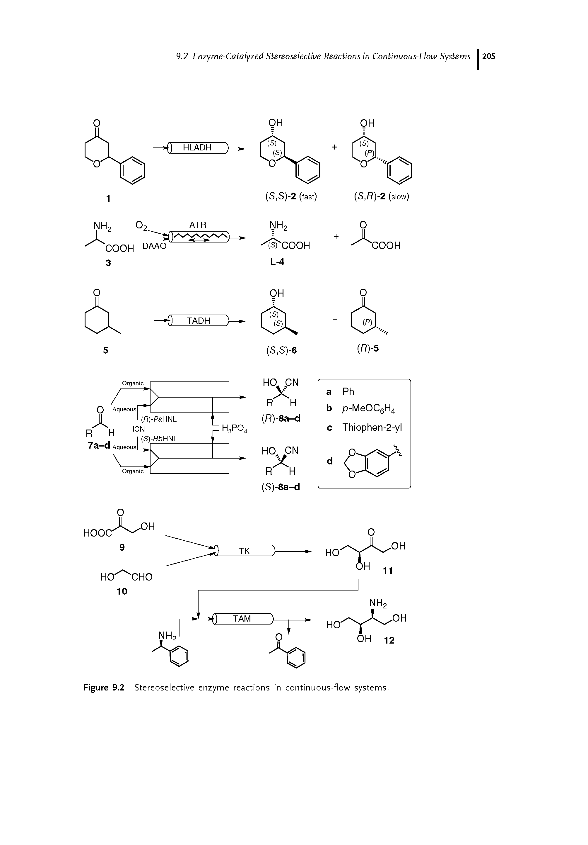 Figure 9.2 Stereoselective enzyme reactions in continuous-flow systems.