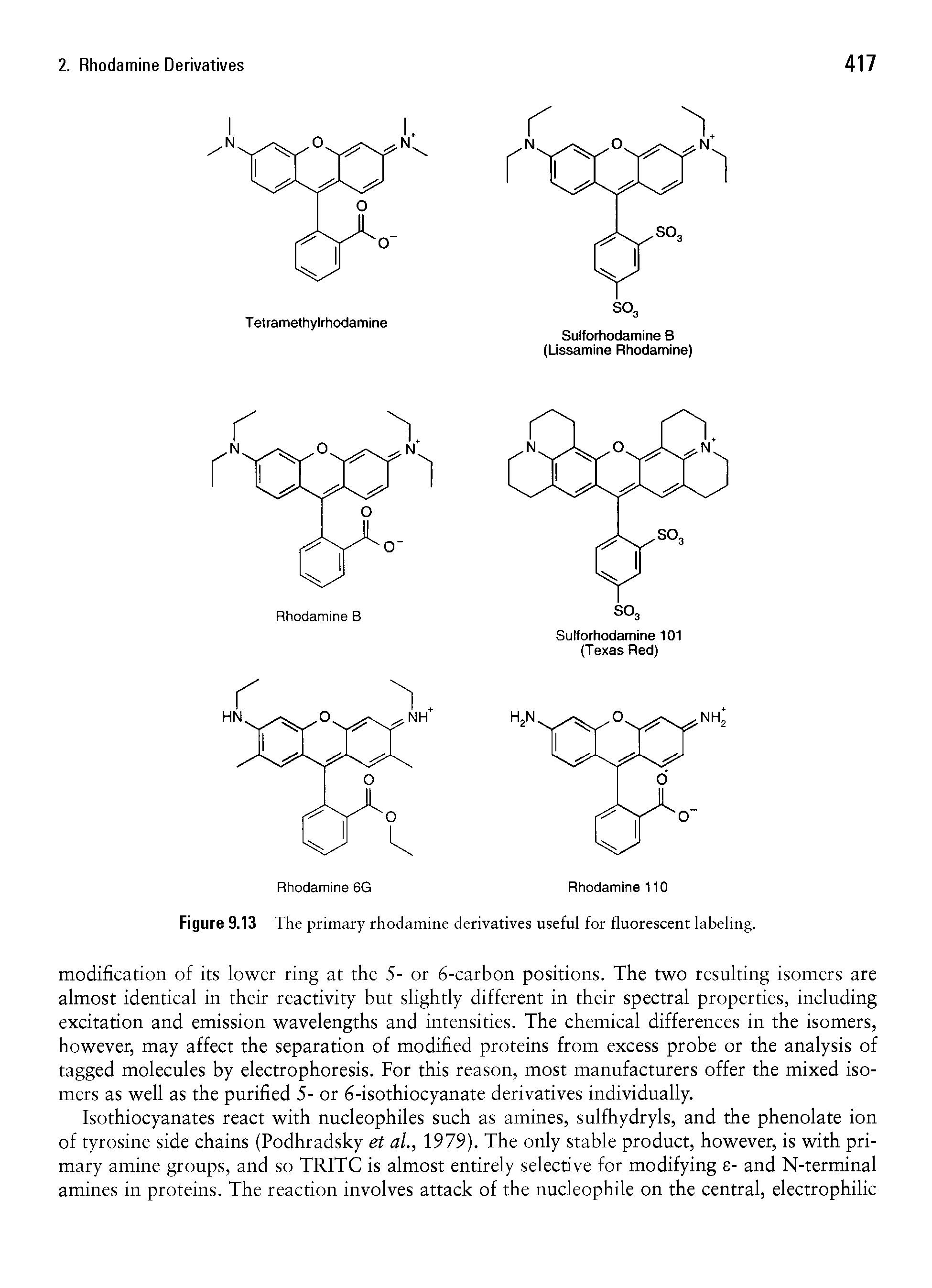 Figure 9.13 The primary rhodamine derivatives useful for fluorescent labeling.