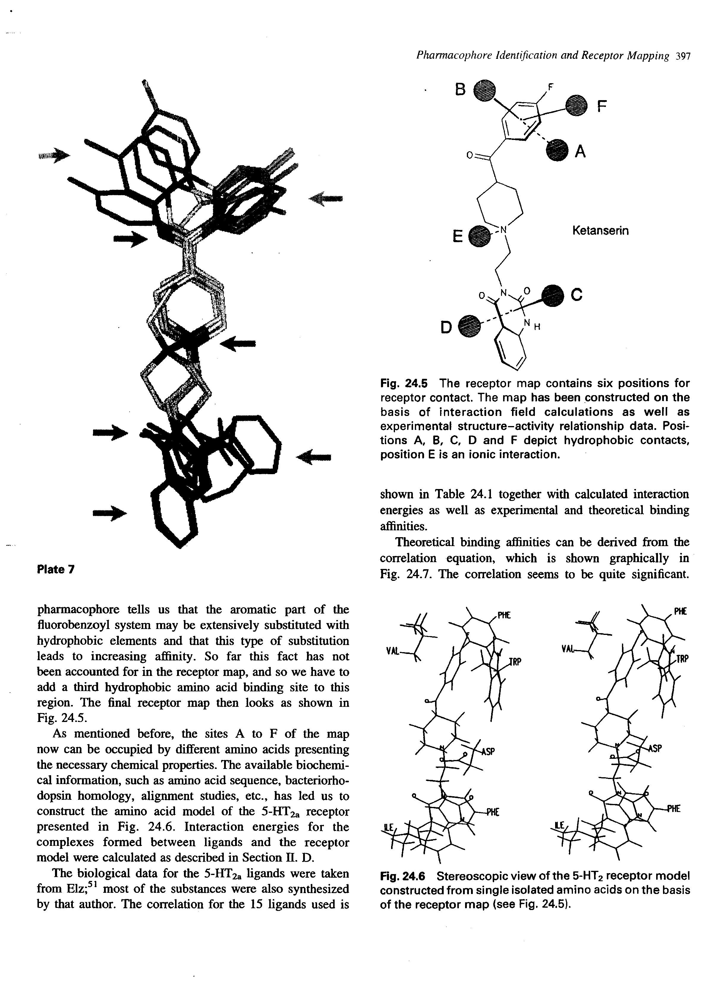 Fig. 24.5 The receptor map contains six positions for receptor contact. The map has been constructed on the basis of interaction field calculations as well as experimental structure-activity relationship data. Positions A, B, C, D and F depict hydrophobic contacts, position E is an ionic interaction.