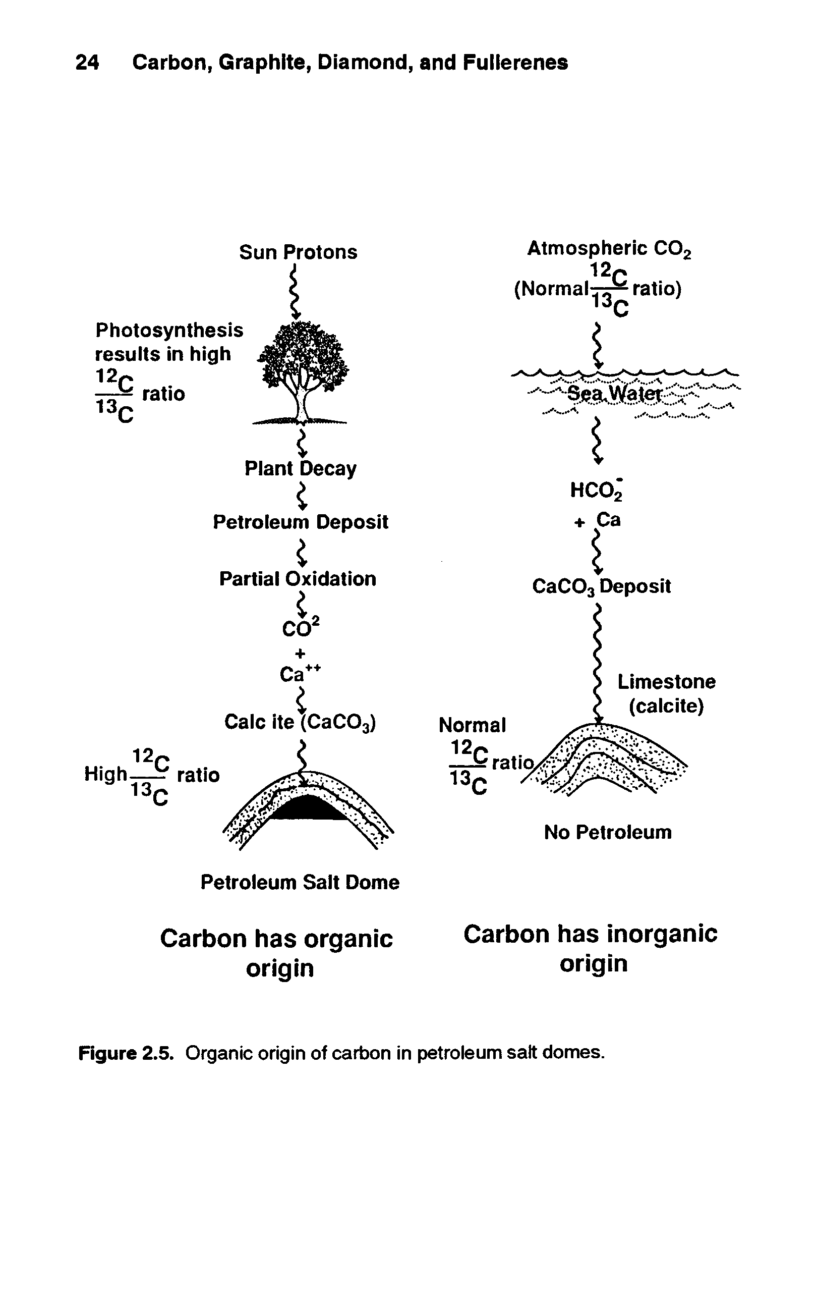 Figure 2.5. Organic origin of carbon in petroleum salt domes.