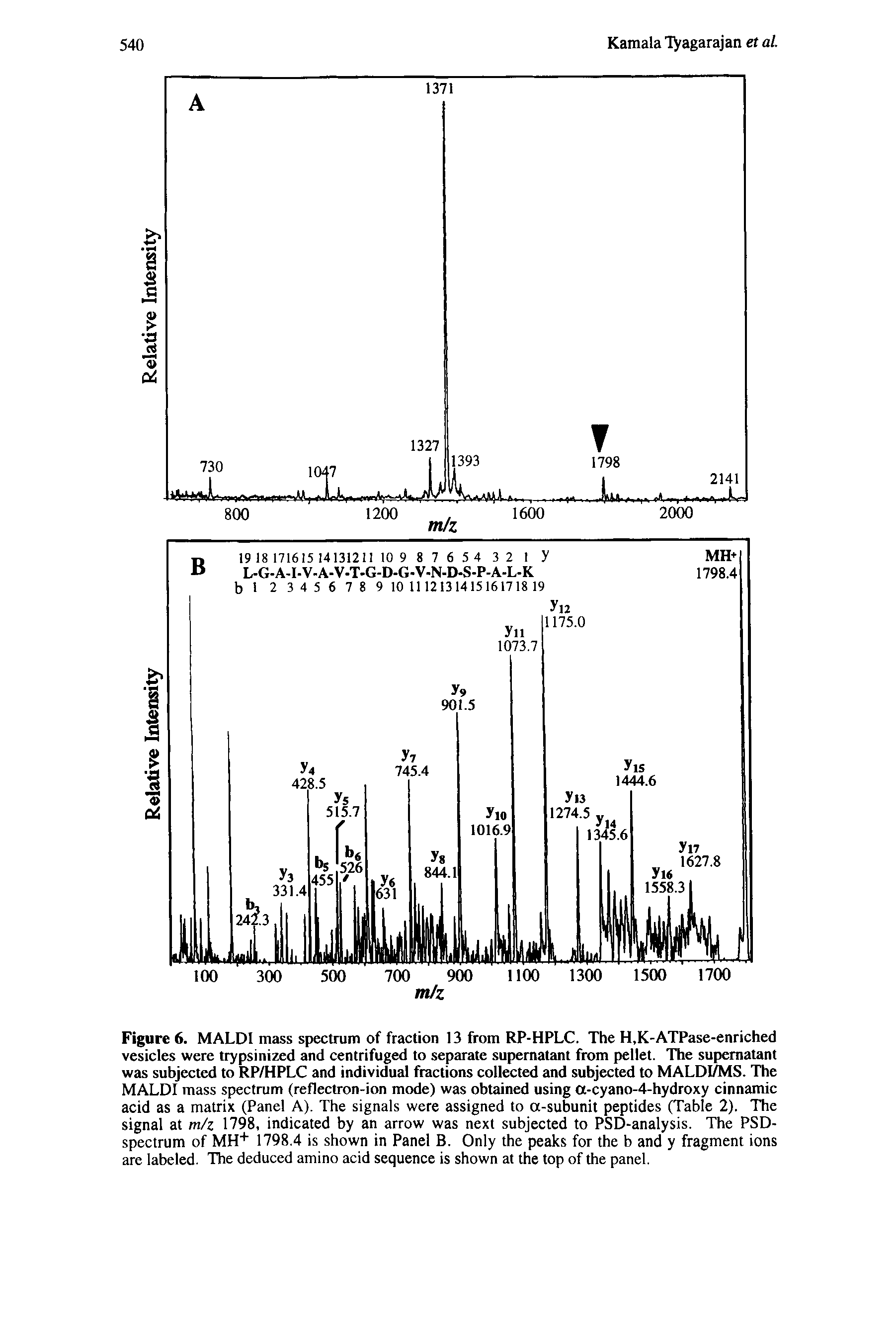 Figure 6. MALDI mass spectrum of fraction 13 from RP-HPLC. The H,K-ATPase-enriched vesicles were trypsinized and centrifuged to separate supernatant from pellet. The supernatant was subjected to RP/HPLC and individual fractions collected and subjected to MALDI/MS. The MALDI mass spectrum (reflectron-ion mode) was obtained using a-cyano-4-hydroxy cinnamic acid as a matrix (Panel A). The signals were assigned to a-subunit peptides (Table 2). The signal at m/z 1798, indicated by an arrow was next subjected to PSD-analysis. The PSD-spectrum of MH+ 1798.4 is shown in Panel B. Only the peaks for the b and y fragment ions are labeled. The deduced amino acid sequence is shown at the top of the panel.