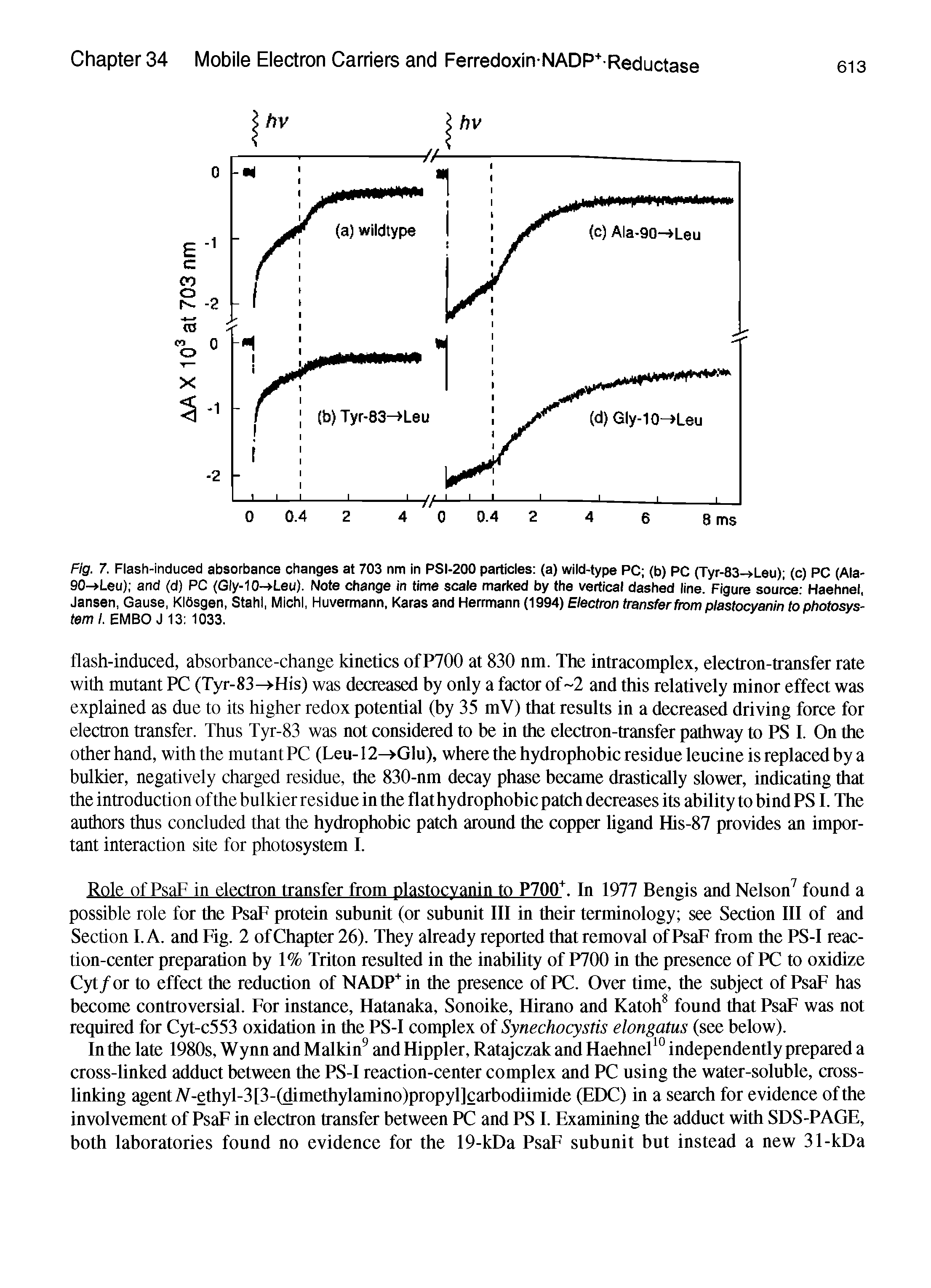 Fig. 7. Flash-induced absorbance changes at 703 nm in PSI-200 particles (a) wild-type PC (b) PC (Tyr-83- Leu) (c) PC (Ala-90->Leu) and (d) PC (Gly-10- Leu). Note change in time scale marked by the vertical dashed line. Figure source Haehnel, Jansen, Cause, KlOsgen, Stahl, Michl, Huvermann. Karas and Herrmann (1994) Electron transfer from plastocyanin to photosystem I. EMBO J 13 1033.