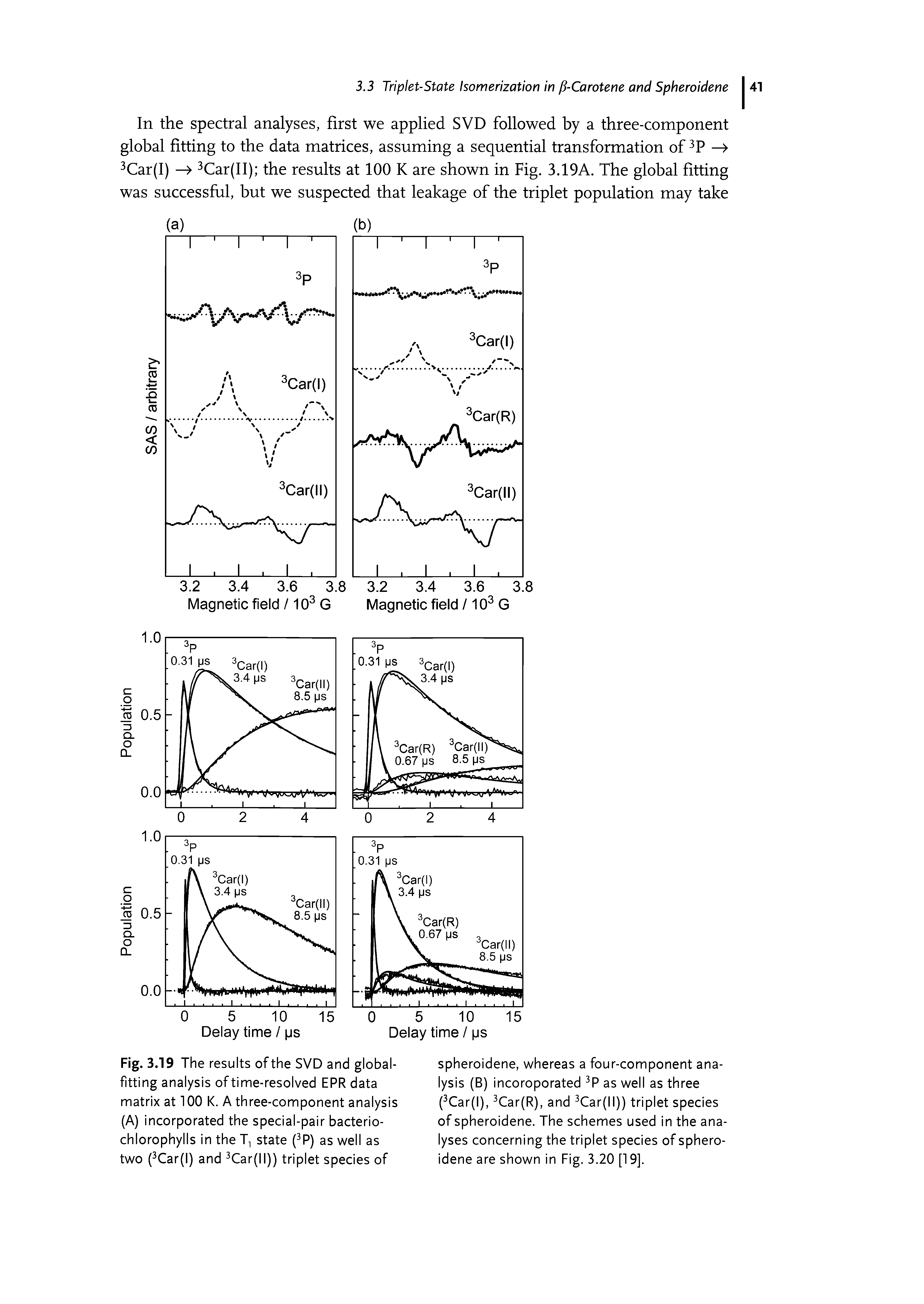 Fig. 3.19 The results of the SVD and global-fitting analysis of time-resolved EPR data matrix at 100 K. A three-component analysis (A) incorporated the special-pair bacterio-chlorophylls in the T state (3P) as well as two (3Car(l) and 3Car(ll)) triplet species of...