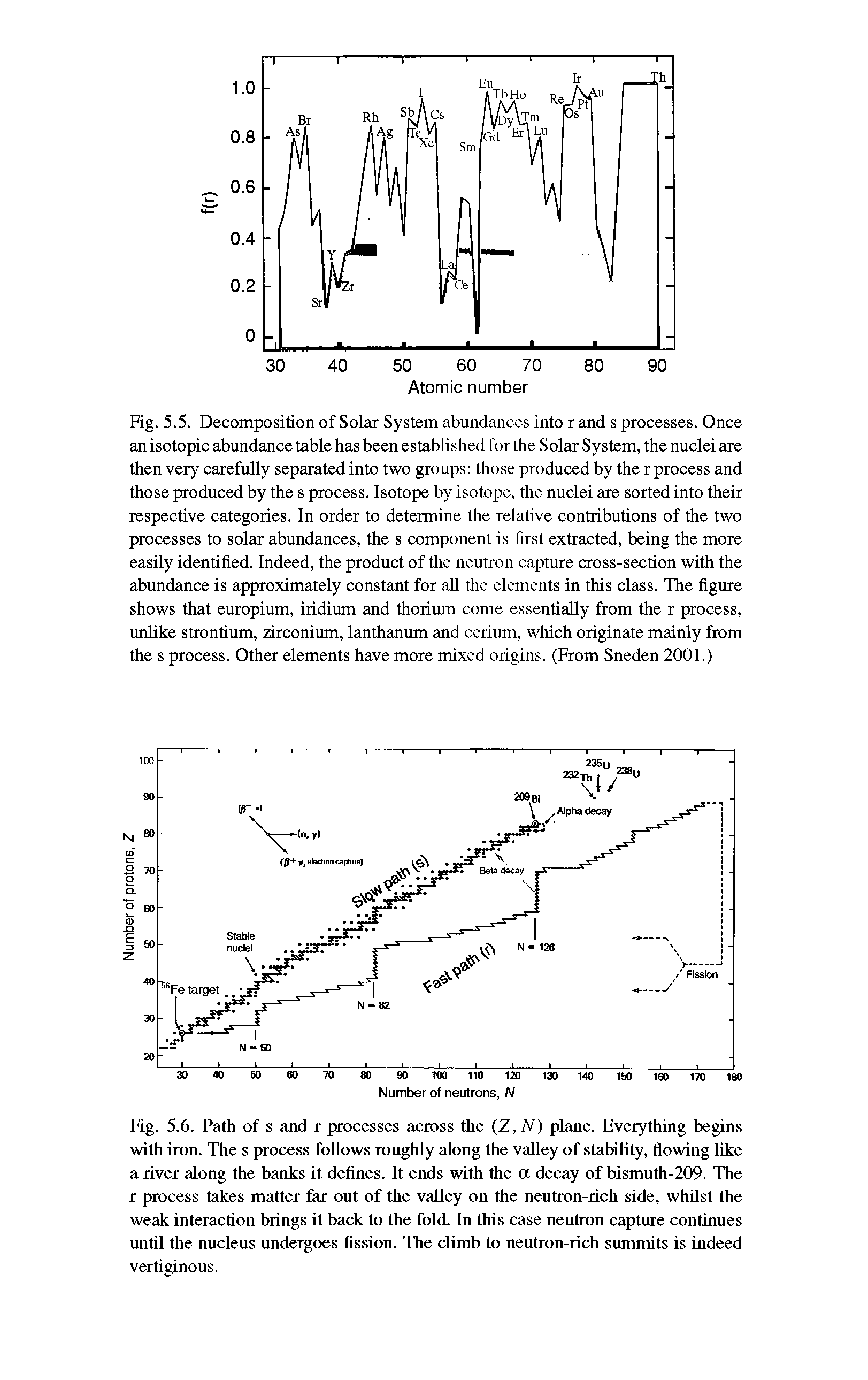 Fig. 5.6. Path of s and r processes across the Z, N) plane. Everything begins with iron. The s process follows roughly along the valley of statrility, flowing like a river along the banks it defines. It ends with the a decay of bismuth-209. The r process takes matter far out of the valley on the neutron-rich side, whilst the weak interaction brings it back to the fold. In this case neutron capture continues until the nucleus undergoes fission. The climb to neutron-rich summits is indeed vertiginous.