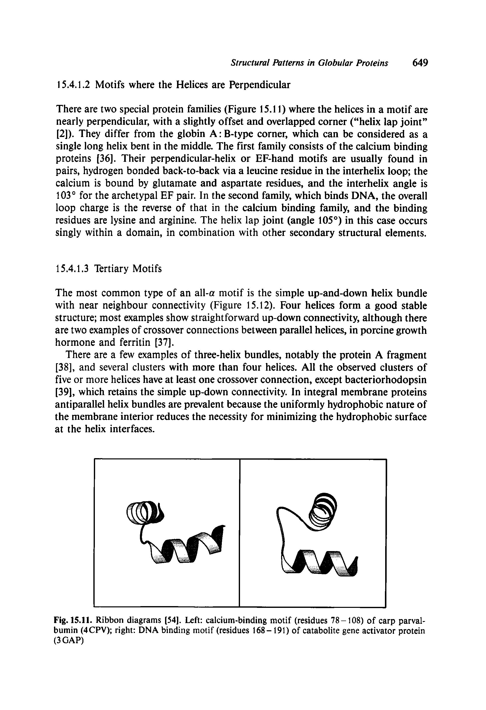 Fig. 15.11. Ribbon diagrams [54]. Left calcium-binding motif (residues 78-108) of carp parval-bumin (4CPV) right DNA binding motif (residues 168-191) of catabolite gene activator protein (3 GAP)...