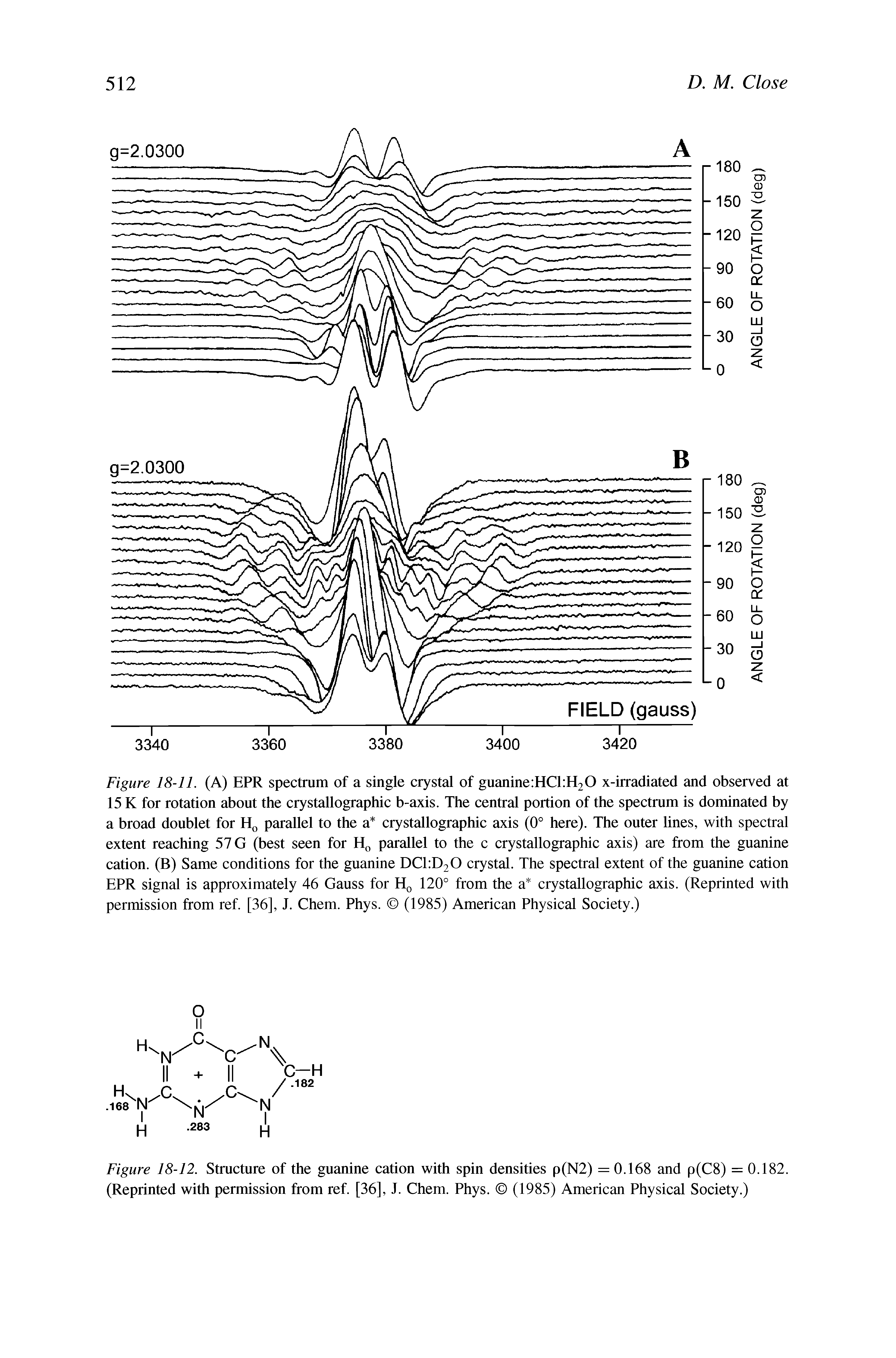 Figure 18-12. Structure of the guanine cation with spin densities p(N2) = 0.168 and p(C8) = 0.182. (Reprinted with permission from ref. [36], J. Chem. Phys. (1985) American Physical Society.)...