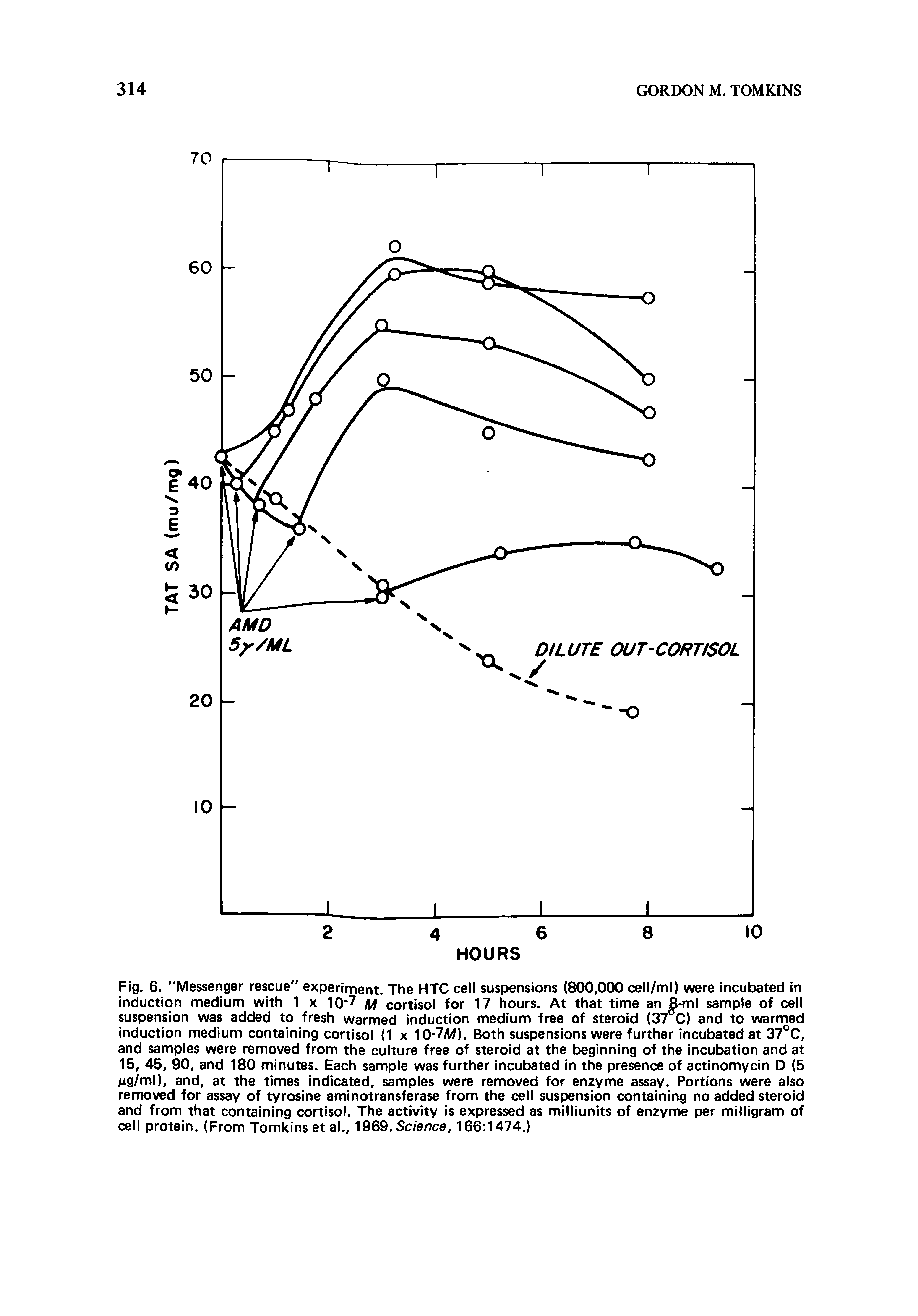 Fig. 6. Messenger rescue" experiment. The HTC cell suspensions (800,000 cell/ml) were incubated in induction medium with 1 x M cortisol for 17 hours. At that time an 8-ml sample of cell suspension was added to fresh warmed induction medium free of steroid (37 C) and to warmed induction medium containing cortisol (1 x Both suspensions were further incubated at 37°C,...