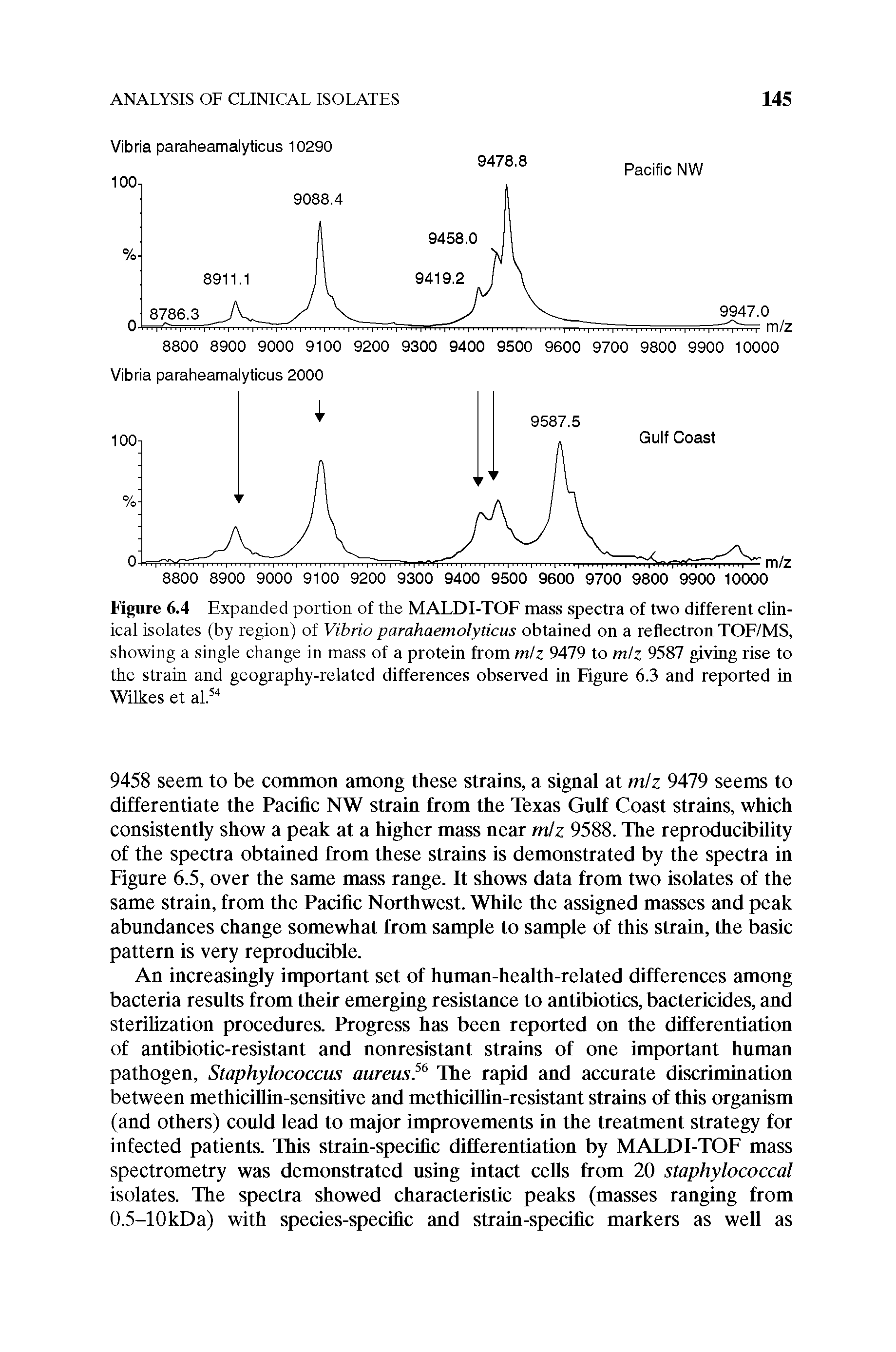 Figure 6.4 Expanded portion of the MALDI-TOF mass spectra of two different clinical isolates (by region) of Vibrio parahaemolyticus obtained on a reflectron TOF/MS, showing a single change in mass of a protein from m/z 9479 to mtz 9587 giving rise to the strain and geography-related differences observed in Figure 6.3 and reported in Wilkes et al.54...