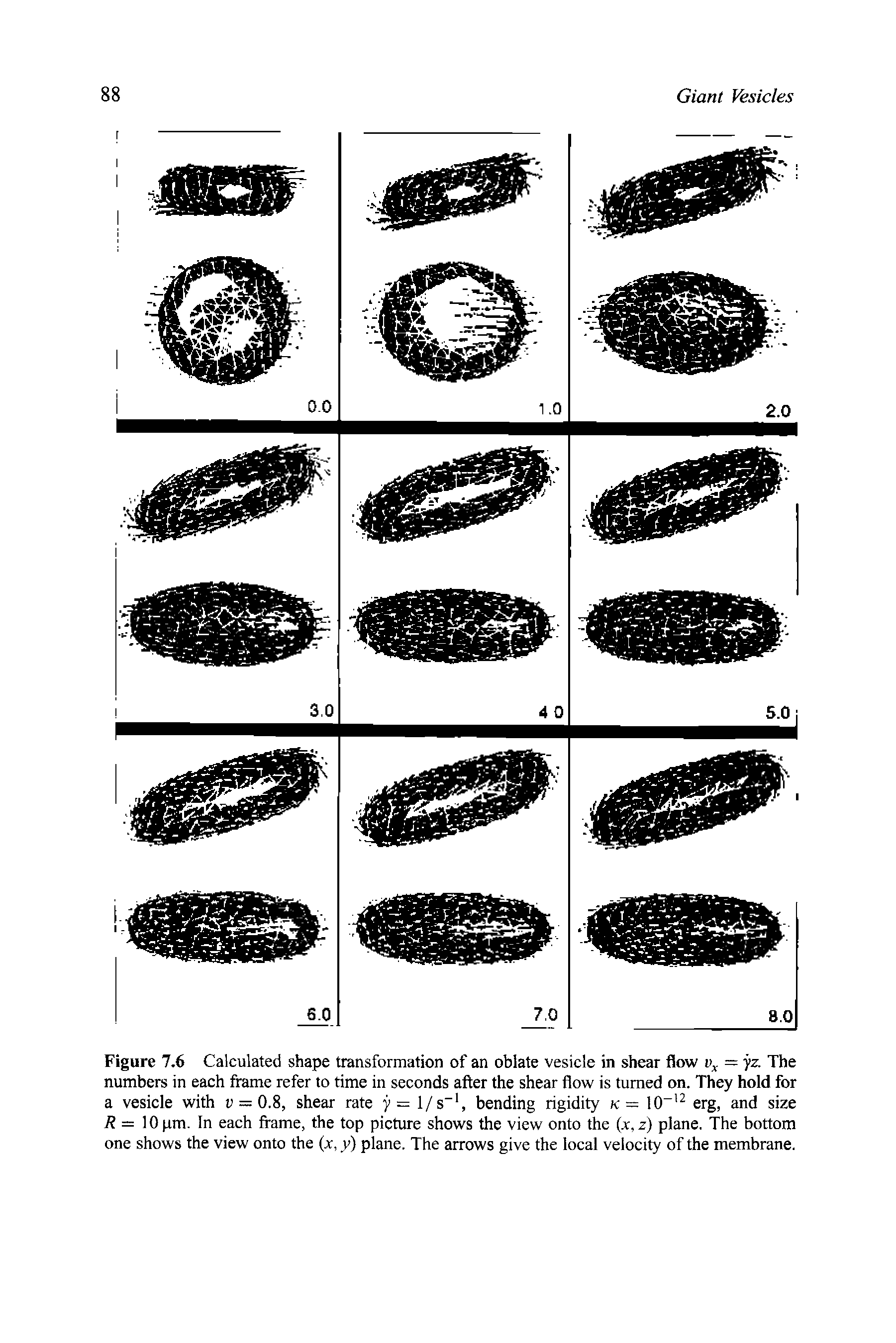 Figure 7.6 Calculated shape transformation of an oblate vesicle in shear flow — yz. The numbers in each frame refer to time in seconds after the shear flow is turned on. They hold for a vesicle with i> = 0.8, shear rate y = 1/s", bending rigidity k— 10 erg, and size R = 10 pm. In each frame, the top picture shows the view onto the (x, z) plane. The bottom one shows the view onto the (x, y) plane. The arrows give the local velocity of the membrane.