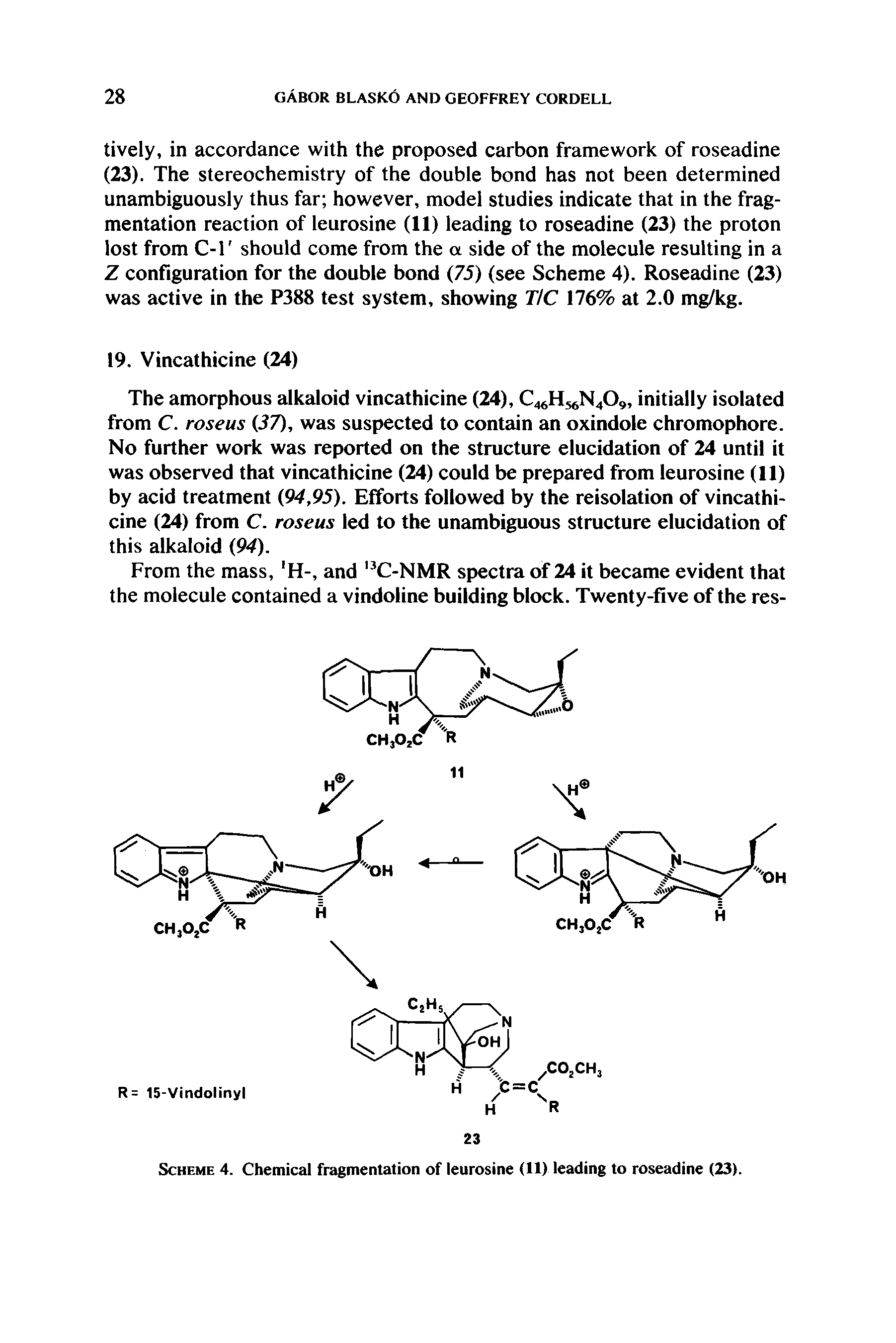 Scheme 4. Chemical fragmentation of leurosine (11) leading to roseadine (23).