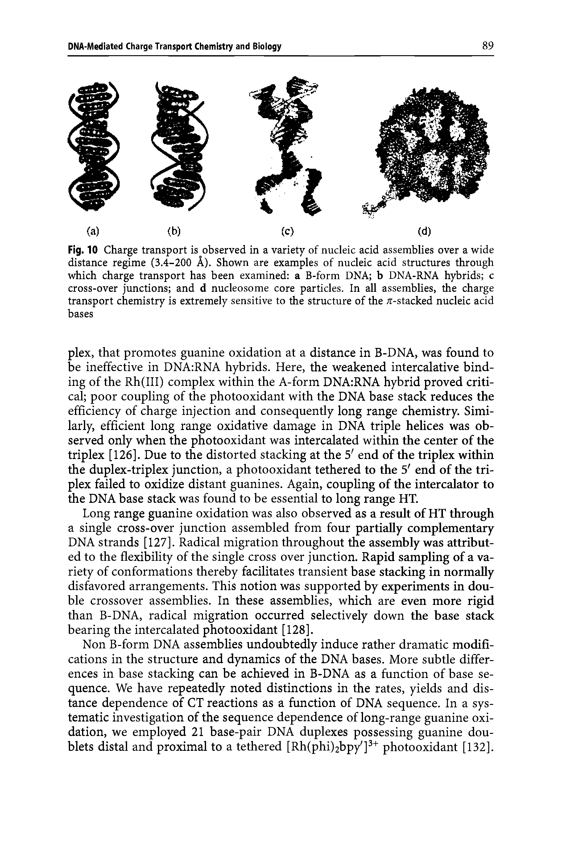 Fig. 10 Charge transport is observed in a variety of nucleic acid assemblies over a wide distance regime (3.4-200 A). Shown are examples of nucleic acid structures through which charge transport has been examined a B-form DNA b DNA-RNA hybrids c cross-over junctions and d nucleosome core particles. In all assemblies, the charge transport chemistry is extremely sensitive to the structure of the -stacked nucleic acid bases...