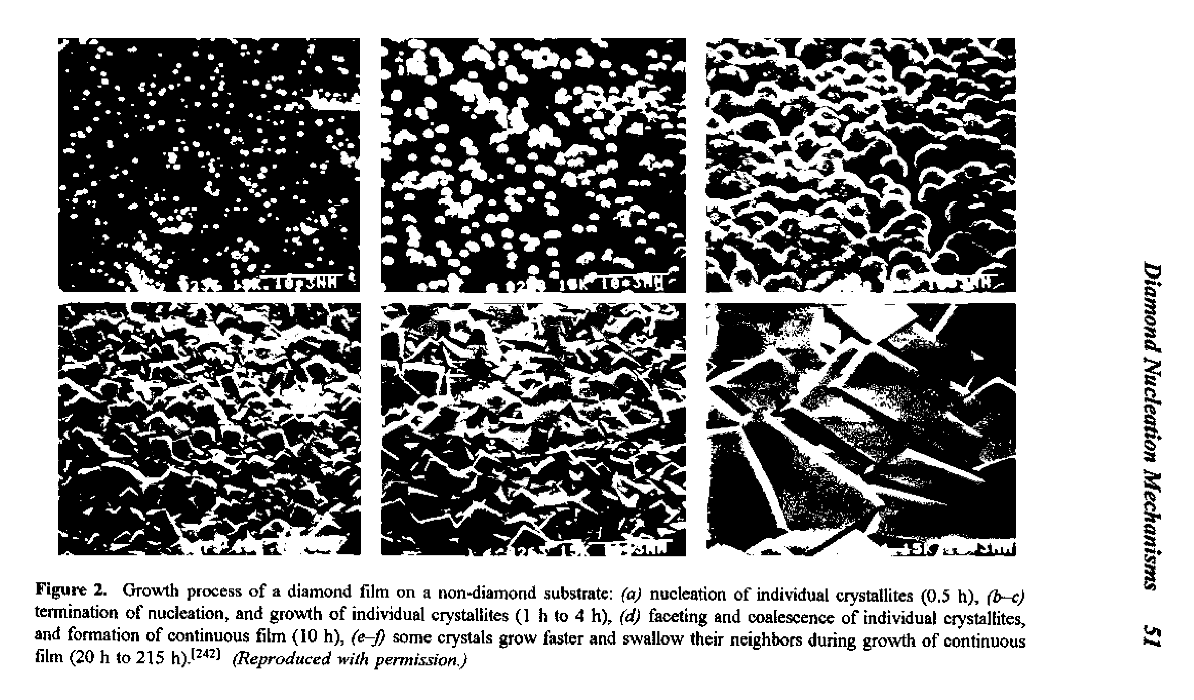 Figure 2. Growth process of a diamond film on a non-diamond substrate (aj nucleation of individual crystallites (0.5 h), (b-cj termination of nucleation, and growth of individual crystallites (1 h to 4 h), (dj faceting and coalescence of individual crystallites, and formation of continuous film (10 h), some crystals grow faster and swallow their neighbors during growth of continuous film (20 h to 215 (Reproduced yrilk permission.)...