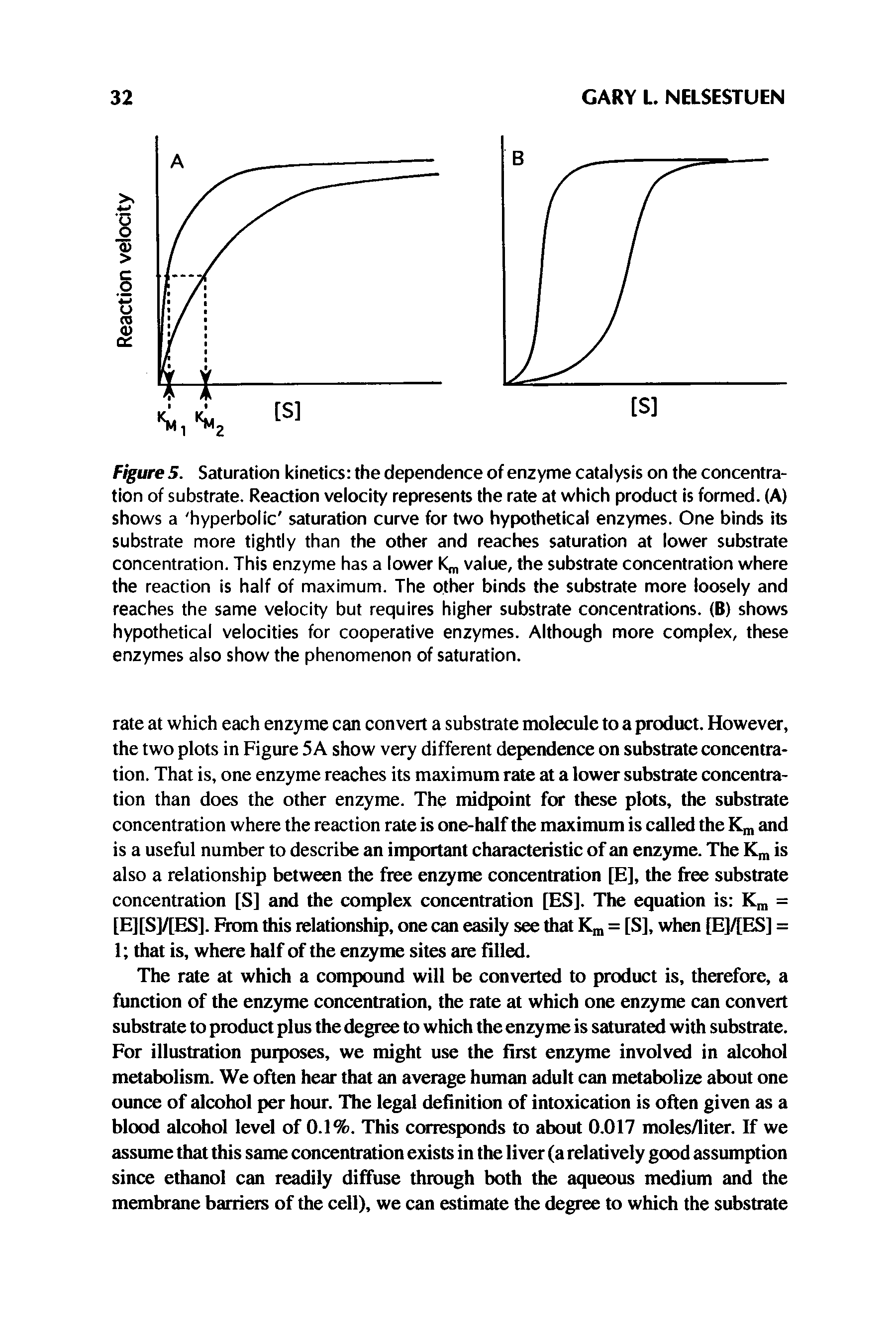 Figure 5. Saturation kinetics the dependence of enzyme catalysis on the concentration of substrate. Reaction velocity represents the rate at which product is formed. (A) shows a hyperbolic saturation curve for two hypothetical enzymes. One binds its substrate more tightly than the other and reaches saturation at lower substrate concentration. This enzyme has a lower value, the substrate concentration where the reaction is half of maximum. The other binds the substrate more loosely and reaches the same velocity but requires higher substrate concentrations. (B) shows hypothetical velocities for cooperative enzymes. Although more complex, these enzymes also show the phenomenon of saturation.