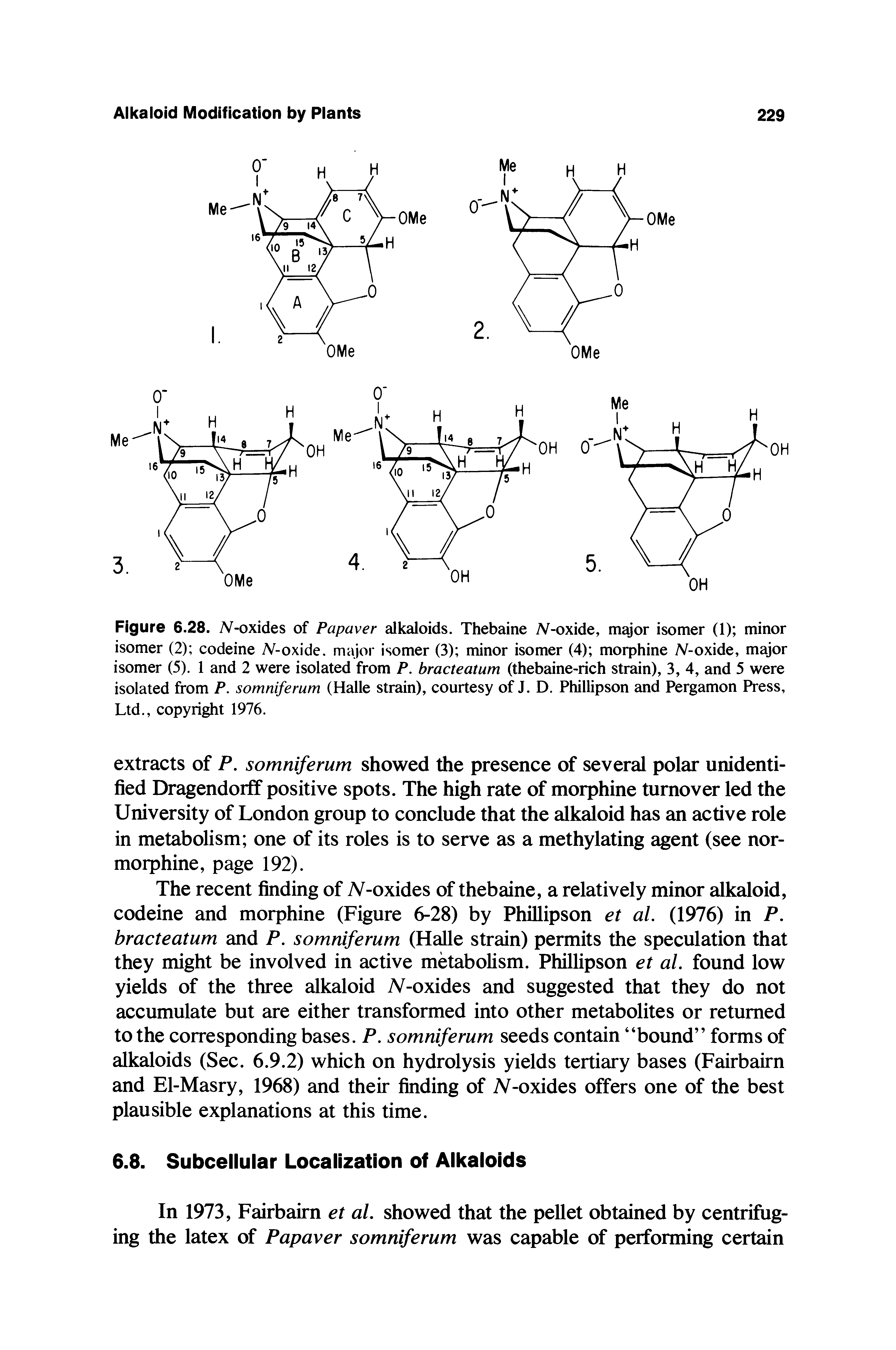 Figure 6.28. N-oxides of Papaver alkaloids. Thebaine N-oxide, major isomer (1) minor isomer (2) codeine A -oxide. major isomer (3) minor isomer (4) morphine N-oxide, major isomer (5). 1 and 2 were isolated from P. bracteatum (thebaine-rich strain), 3, 4, and 5 were isolated from P. somniferum (Halle strain), courtesy of J. D. Phillipson and Pergamon Press, Ltd., copyright 1976.
