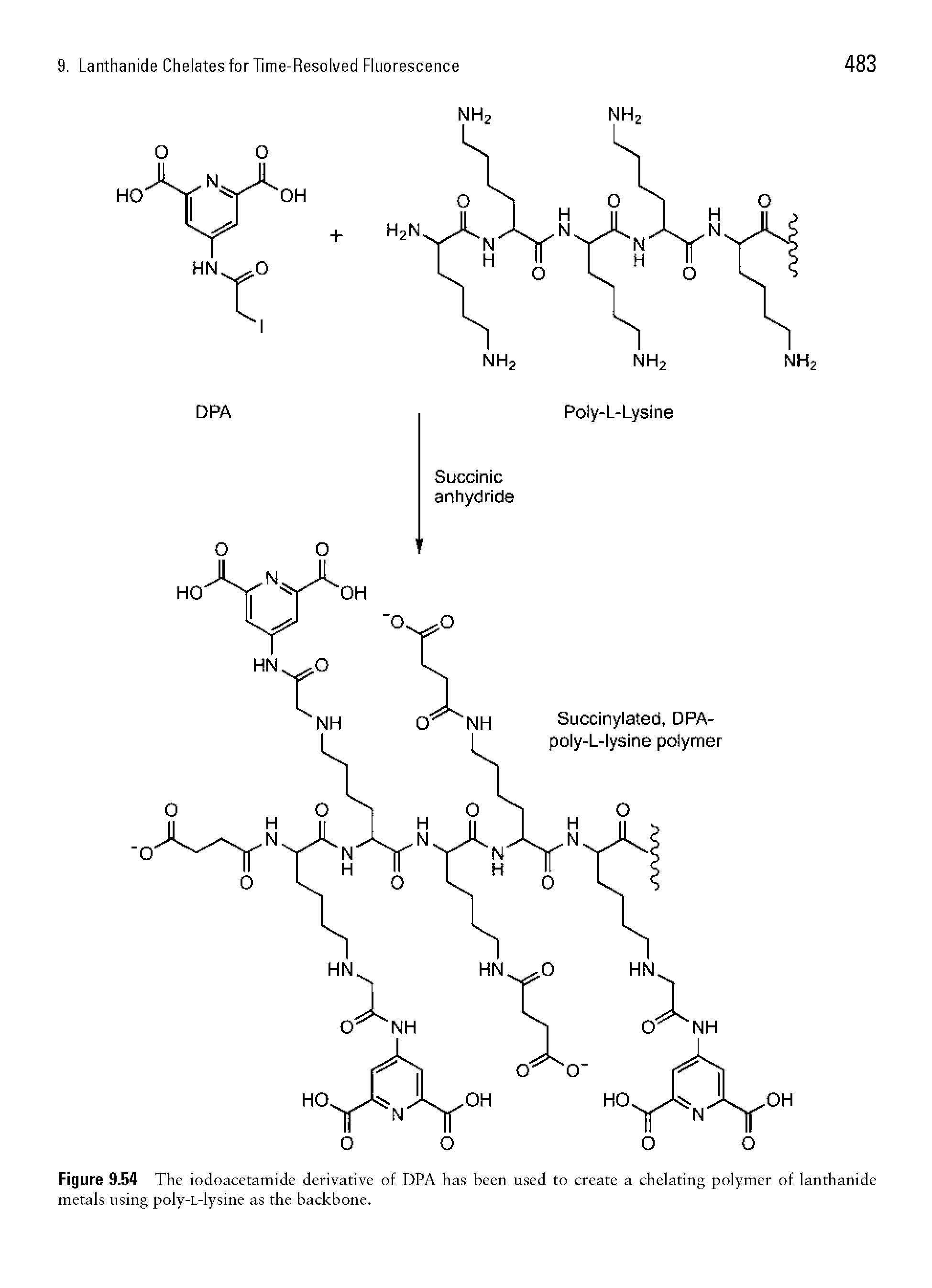 Figure 9.54 The iodoacetamide derivative of DPA has been used to create a chelating polymer of lanthanide metals using poly-L-lysine as the backbone.